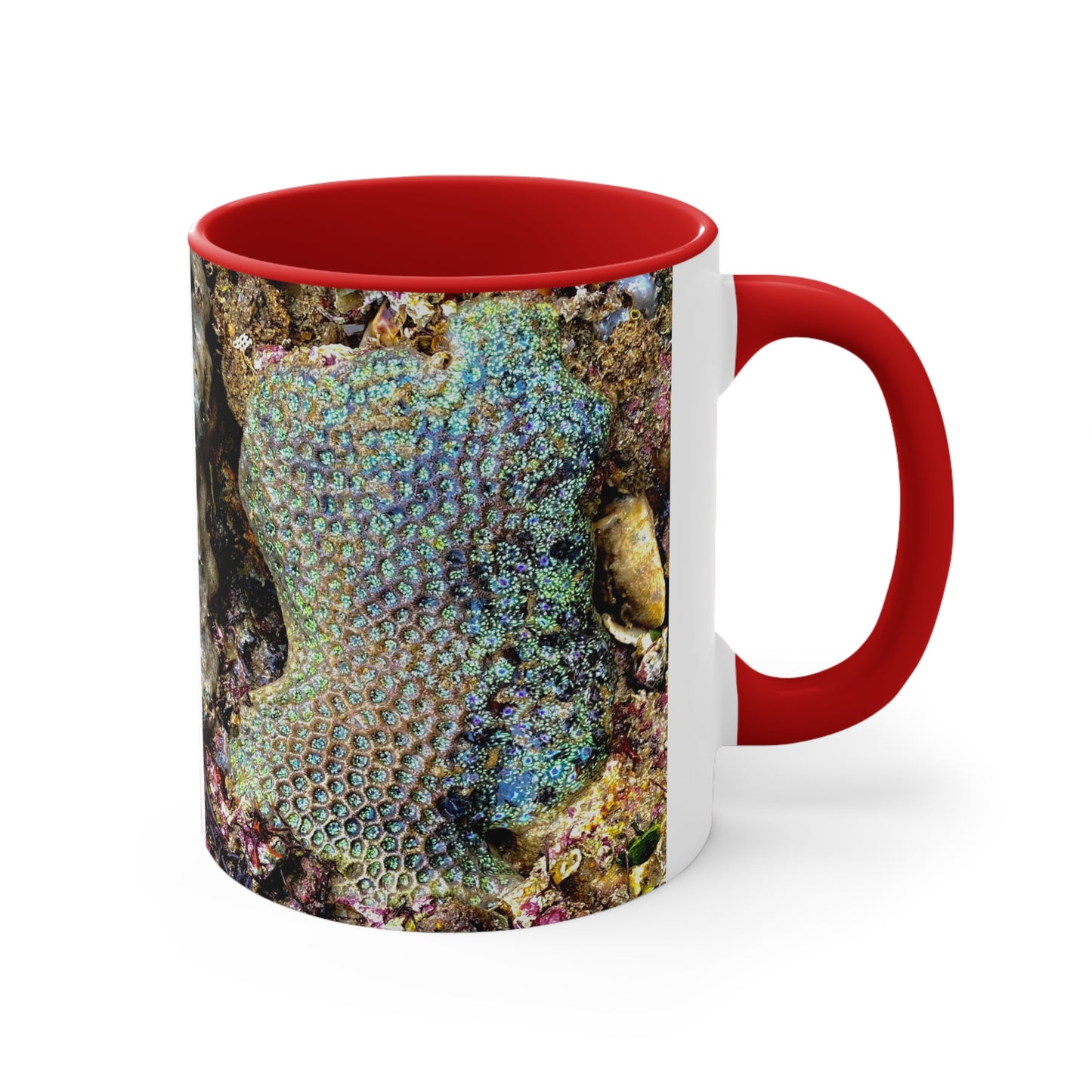 Reef range- AUS PRINT Colorful Accent Mugs, 11oz
