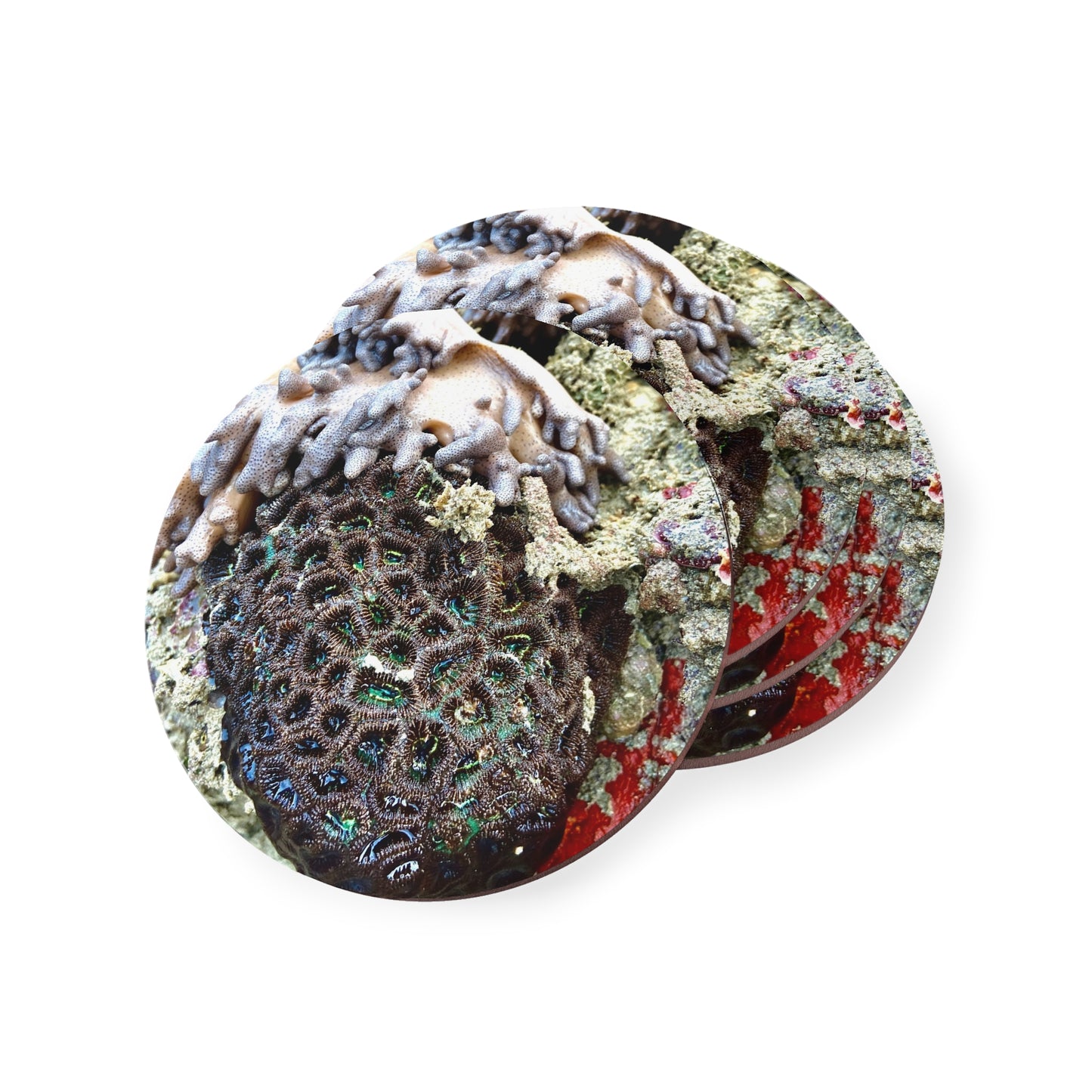 Reef range- AUS PRINT Coasters