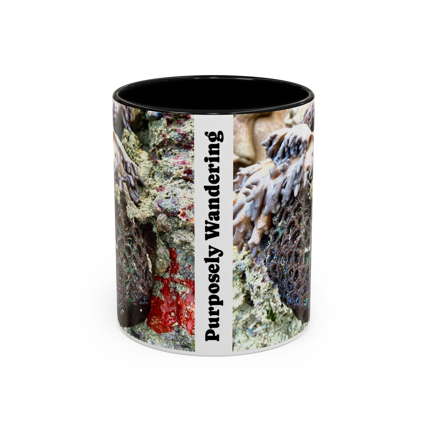 Reef range Accent Coffee Mug (11, 15oz)
