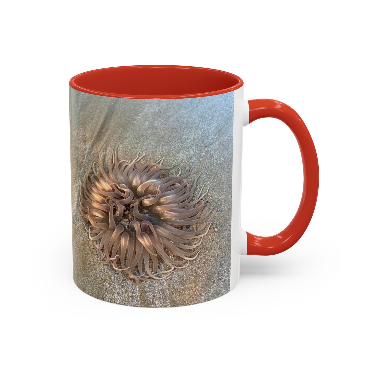 Reef range Accent Coffee Mug (11, 15oz)