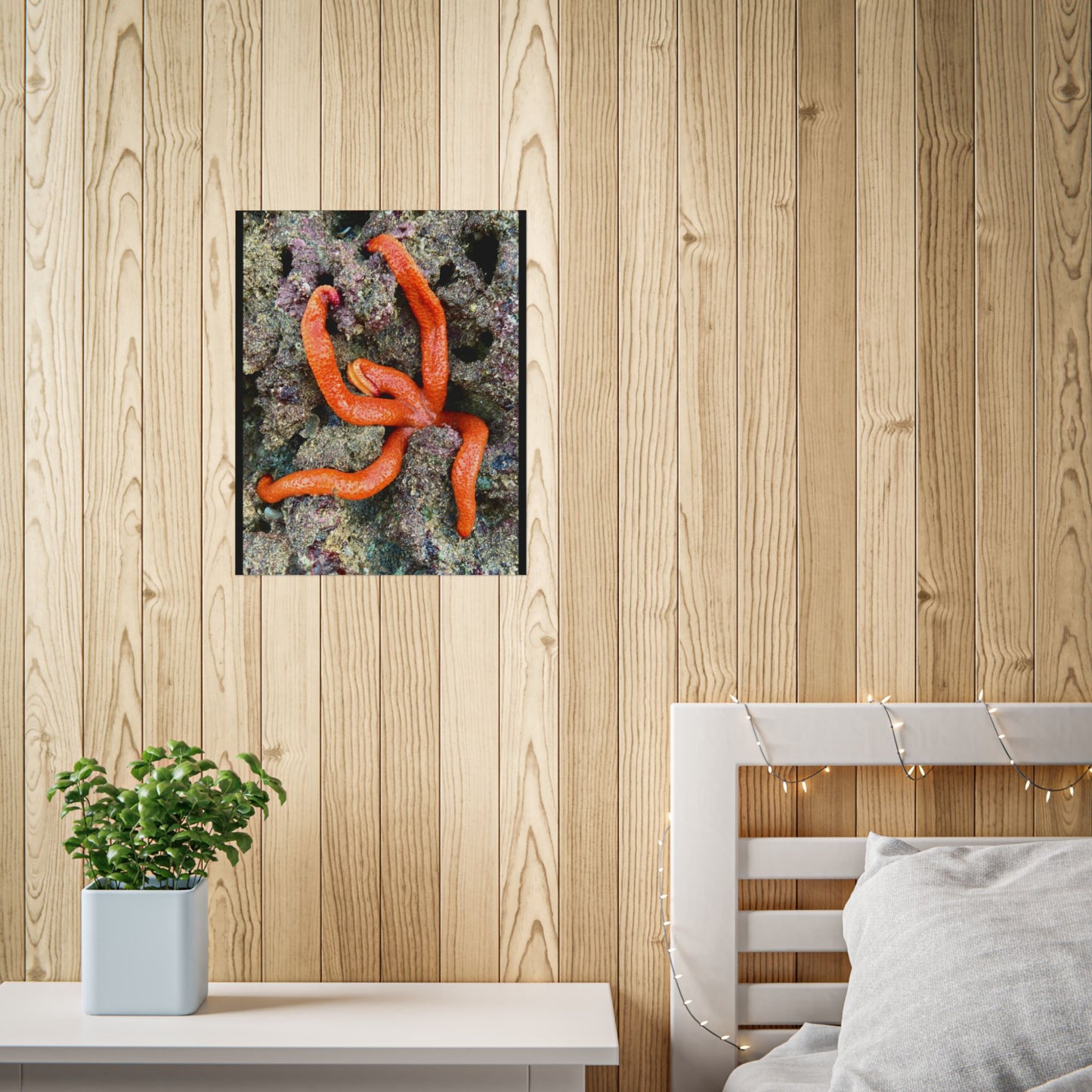 Vibrant Sea Star Unframed Poster | Ocean Wall Art for Nature Lovers