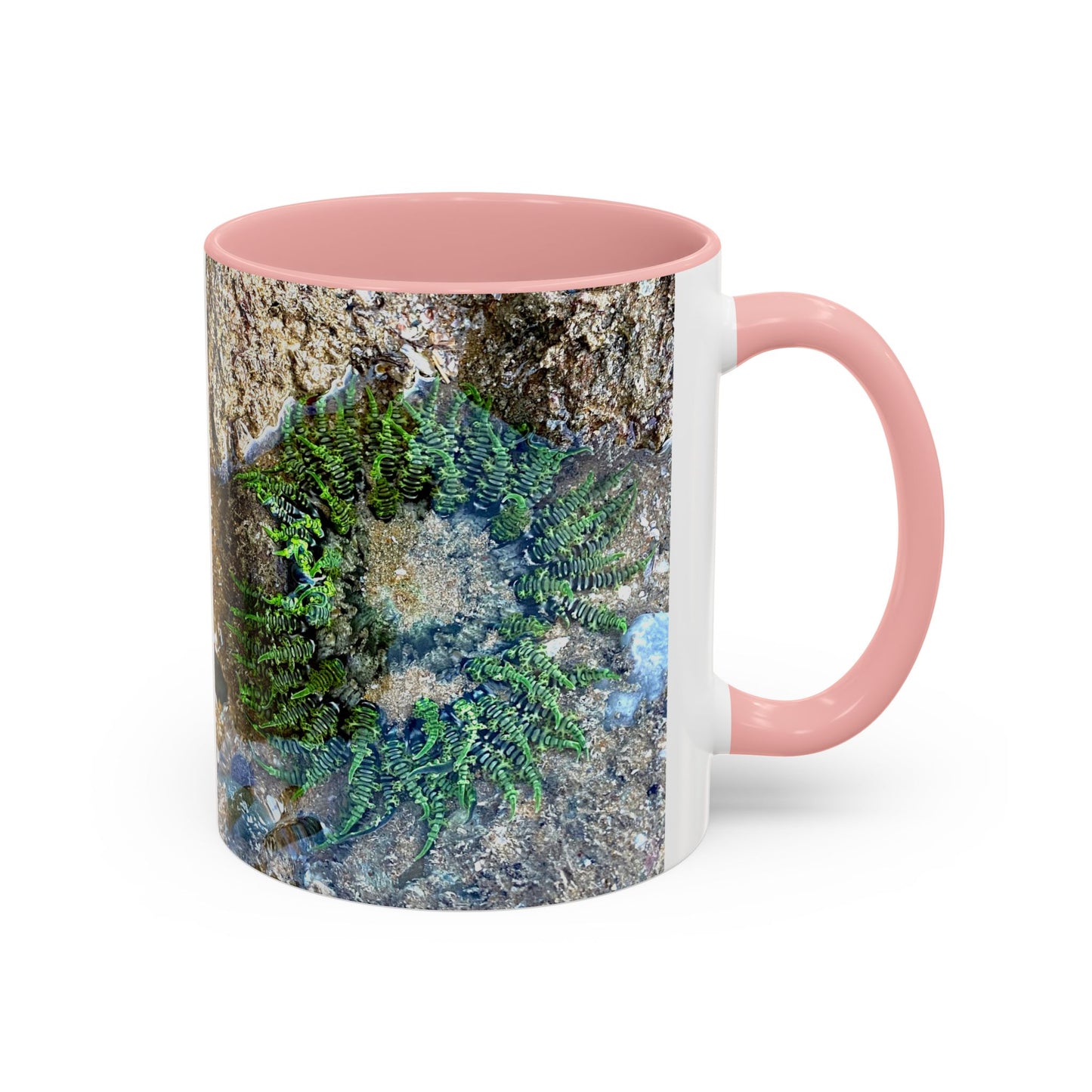 Reef range Accent Coffee Mug (11, 15oz)