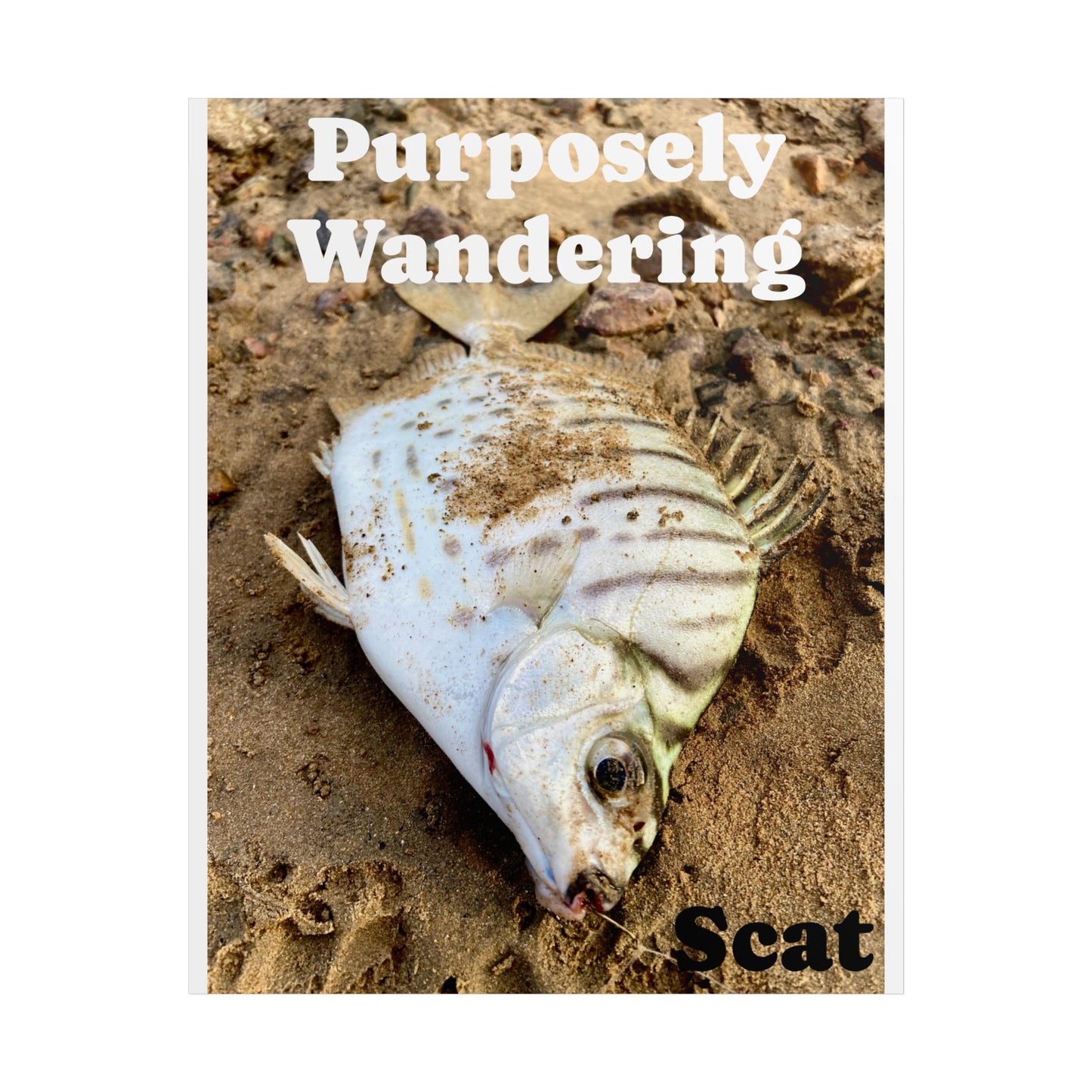 Purposely Wandering Fish Art Poster - Unique Home Decor for Nature Lovers