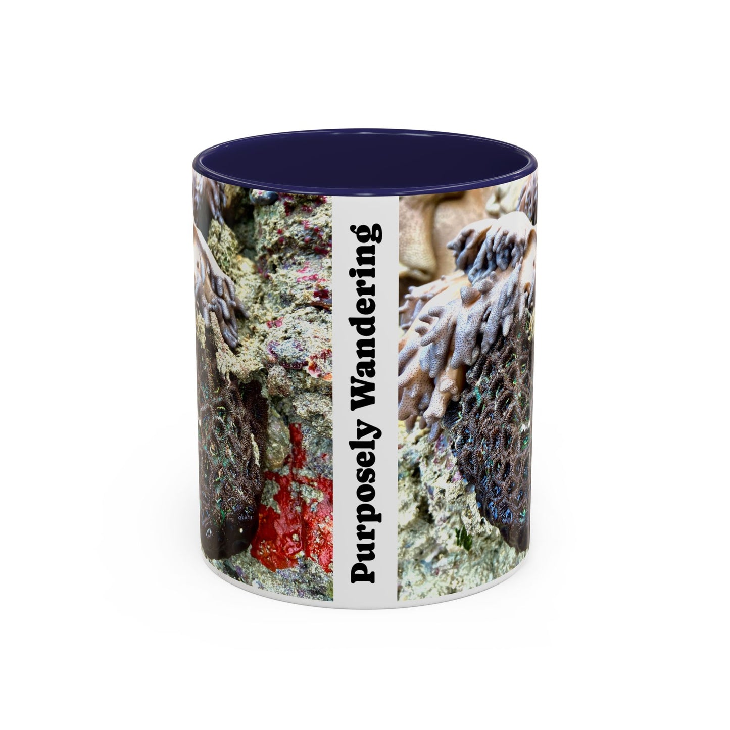Reef range Accent Coffee Mug (11, 15oz)