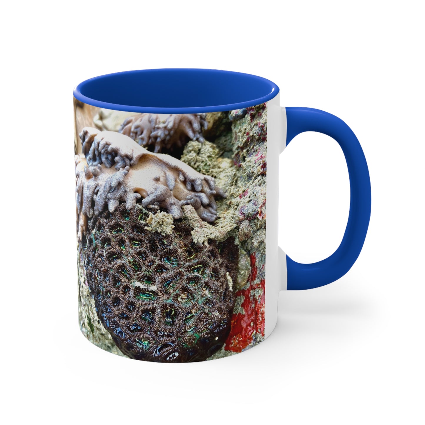 Purposely Wandering Coral Accent Mug - 11oz Colorful Coffee Cup