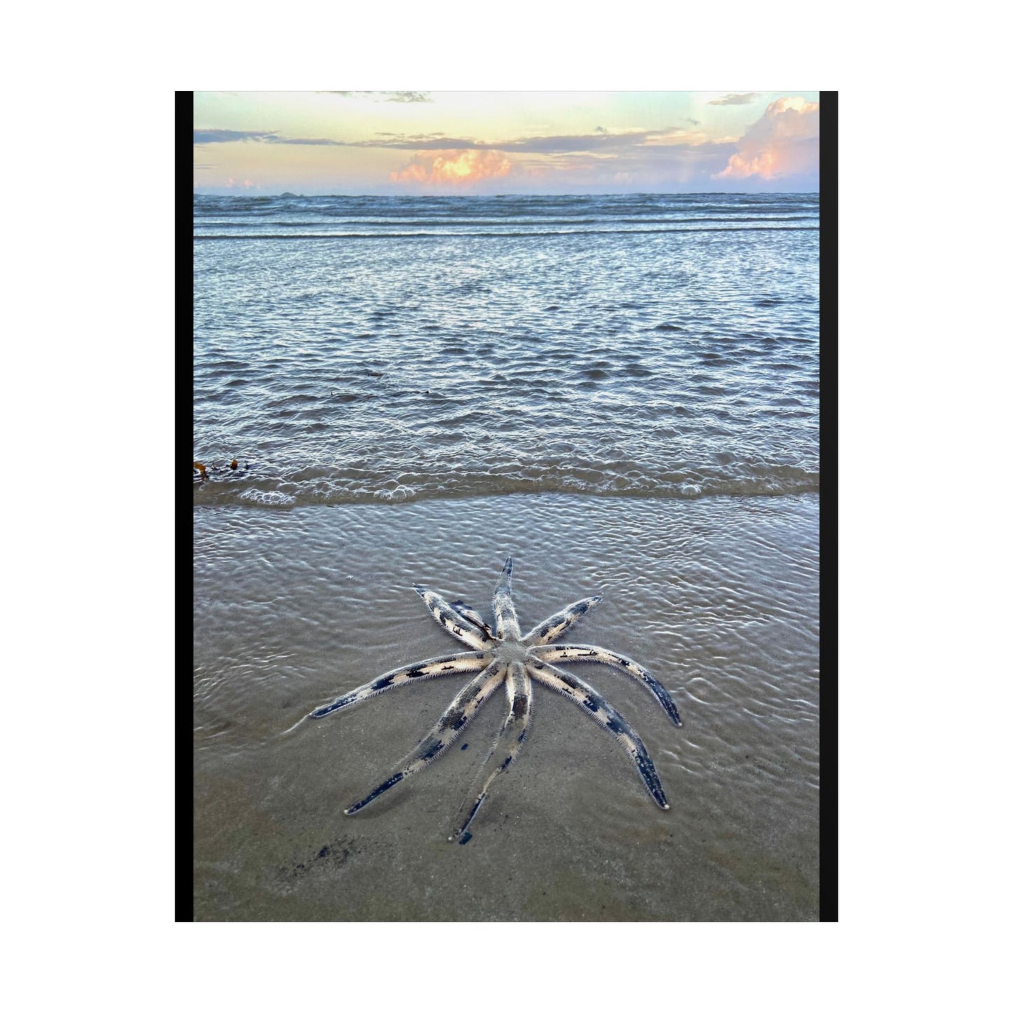 Ocean-Inspired Unframed Poster - Serene Rare Starfish Beach Art for Coastal Decor
