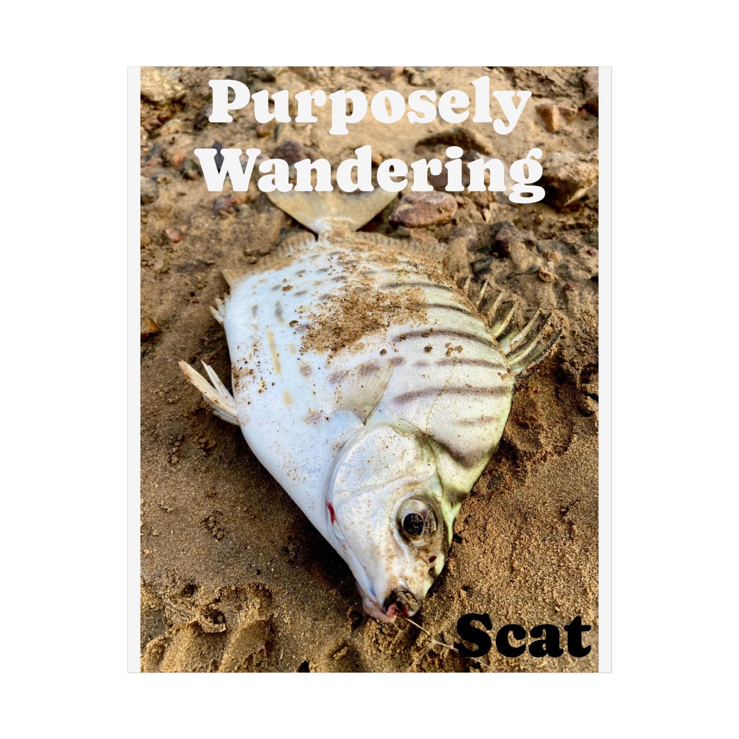 Purposely Wandering Fish Art Poster - Unique Home Decor for Nature Lovers