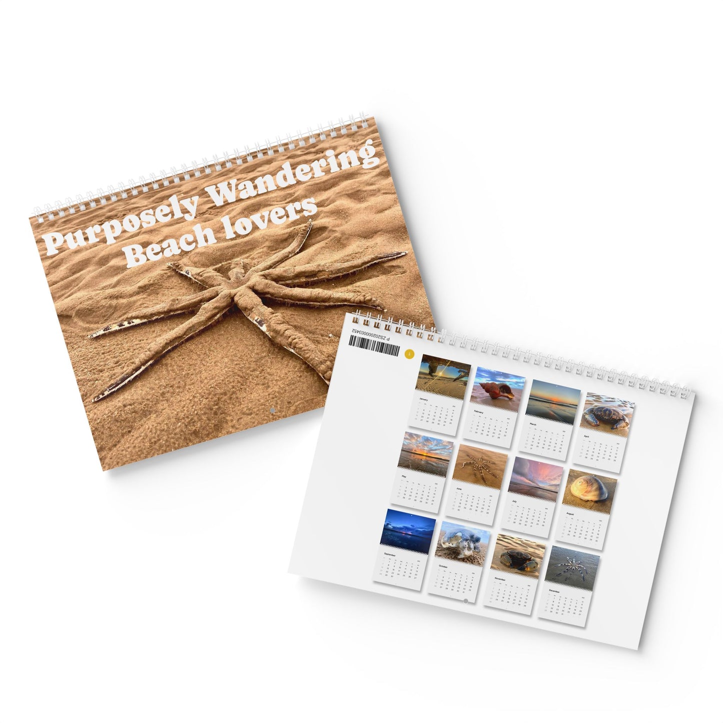 Beach Lovers range- AUS PRINT Standard Wall Calendar (2025)