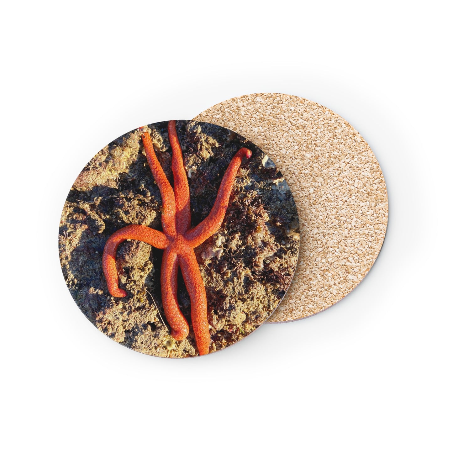 Reef range- AUS PRINT Coasters