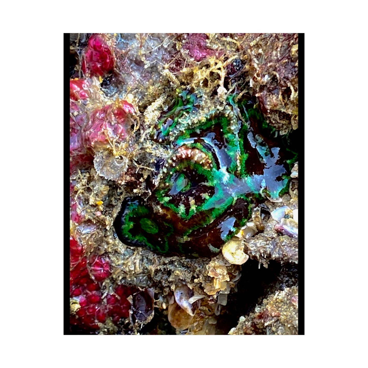 Ocean-Inspired Unframed Poster - Coastal Home Decor