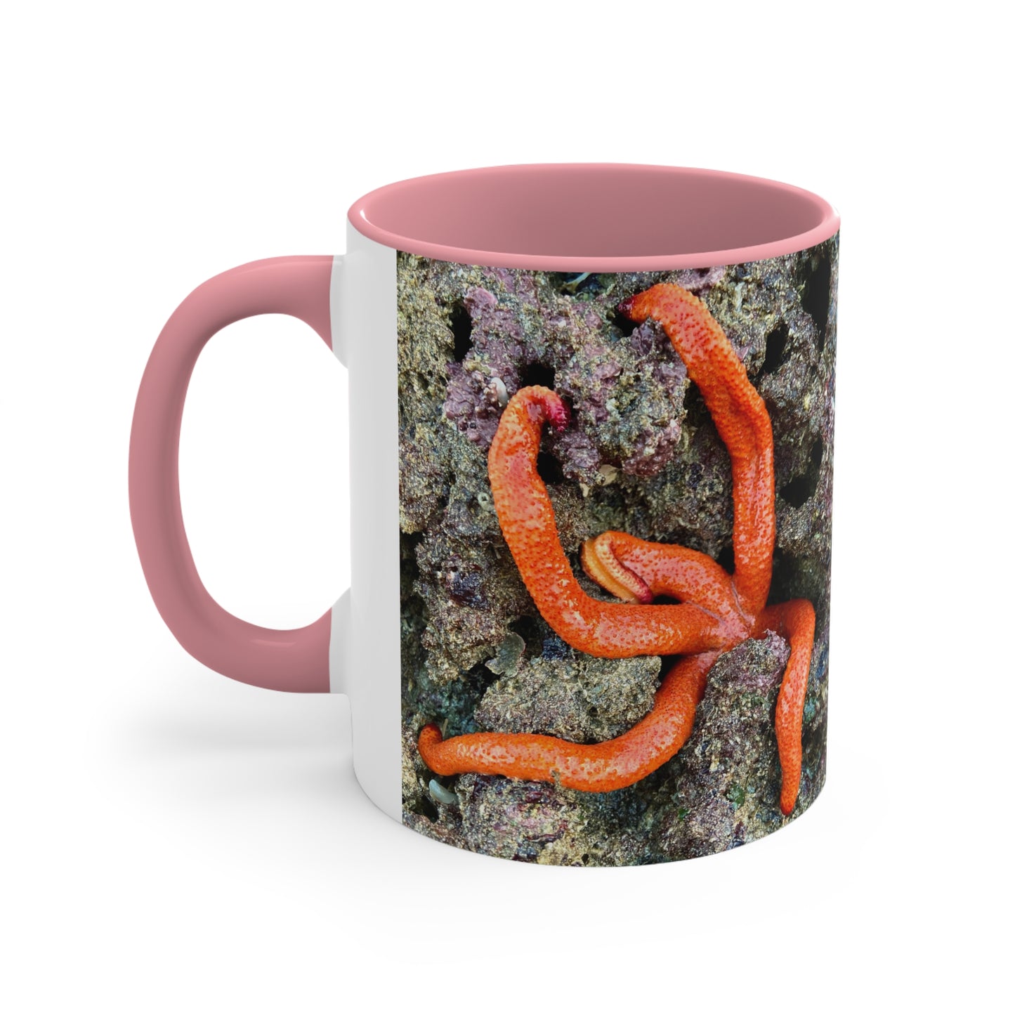 Reef range- AUS PRINT Colorful Accent Mugs, 11oz
