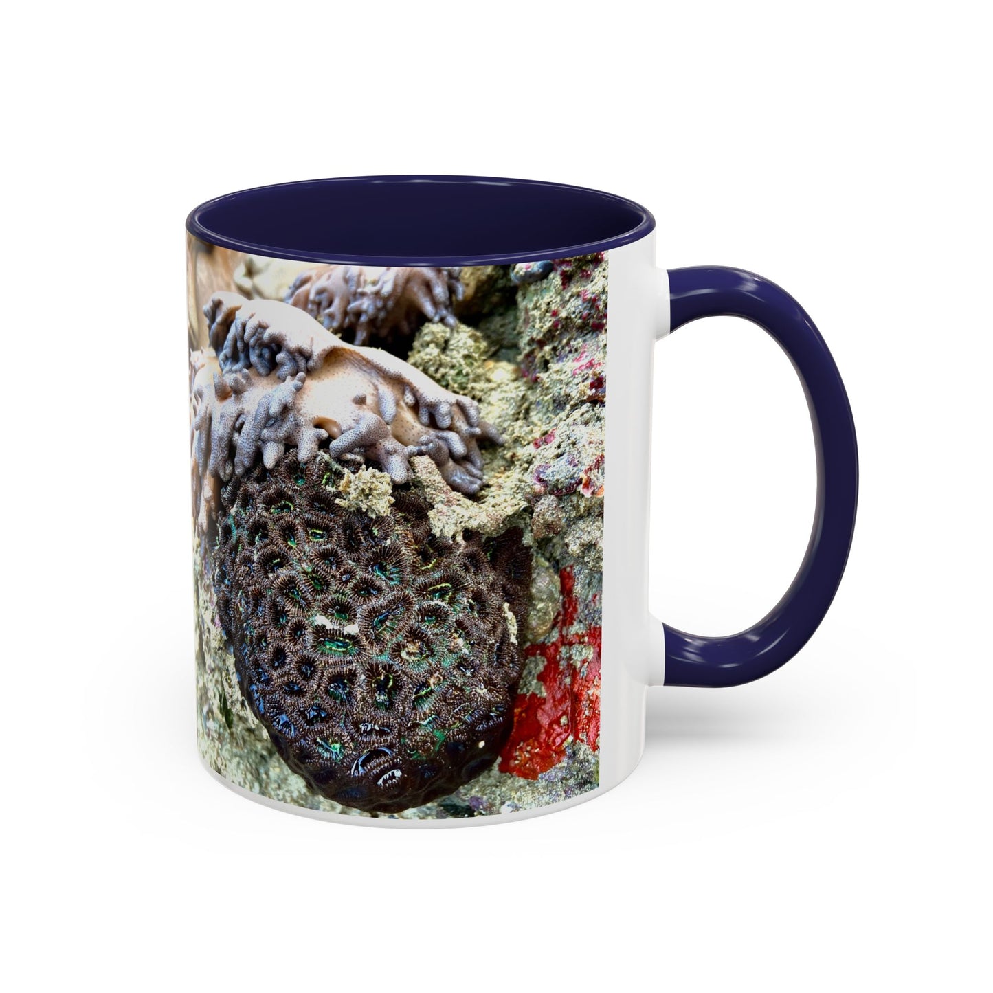 Reef range Accent Coffee Mug (11, 15oz)
