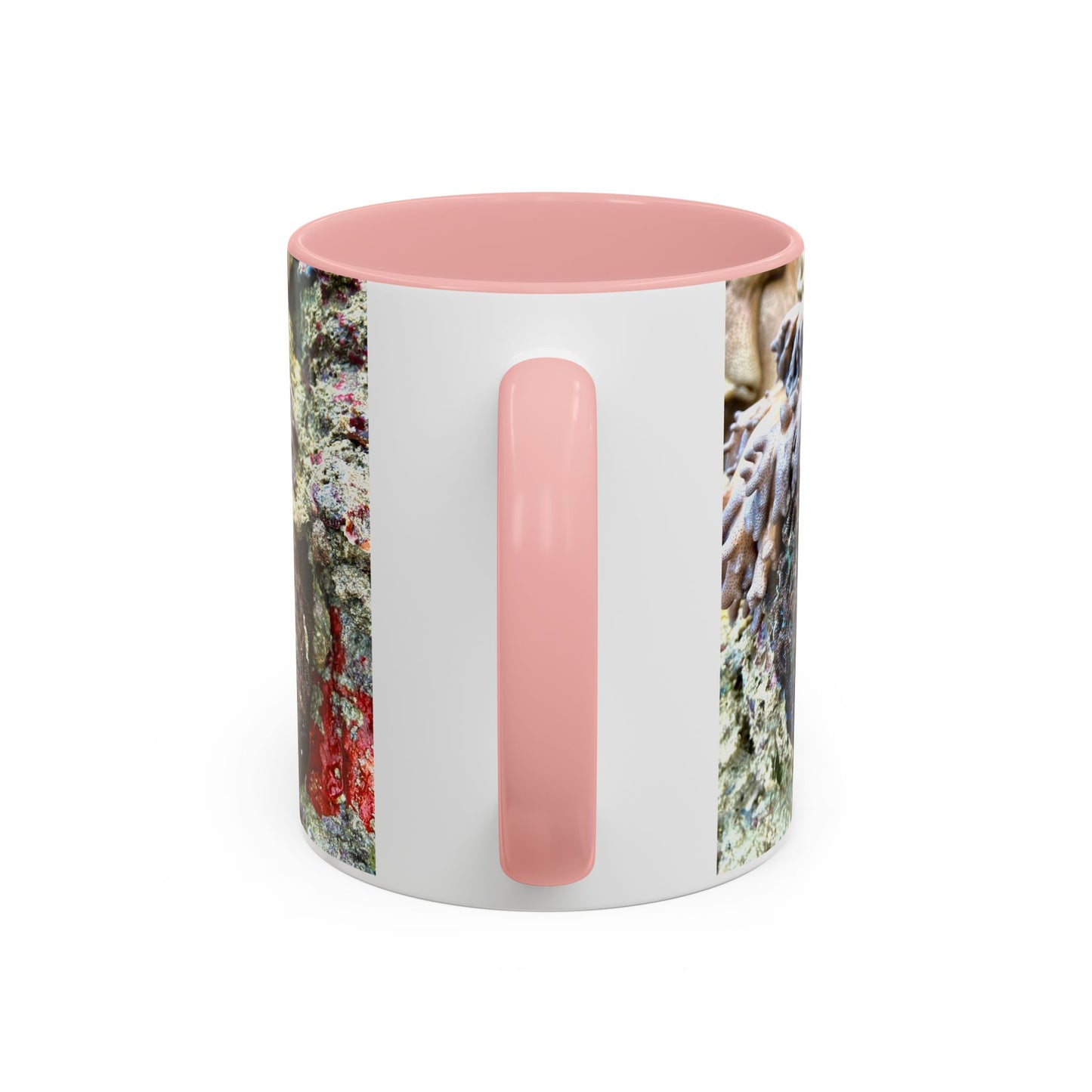 Reef range Accent Coffee Mug (11, 15oz)