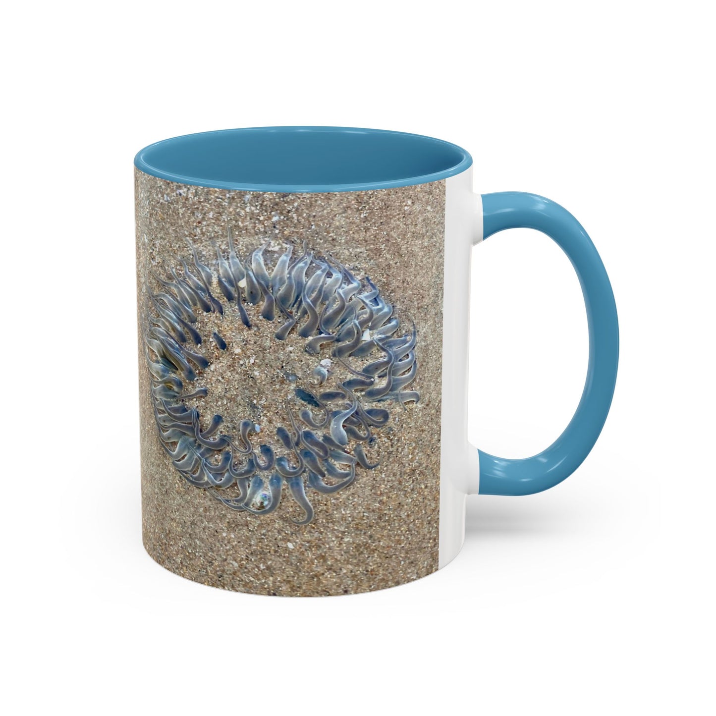 Reef range Accent Coffee Mug (11, 15oz)