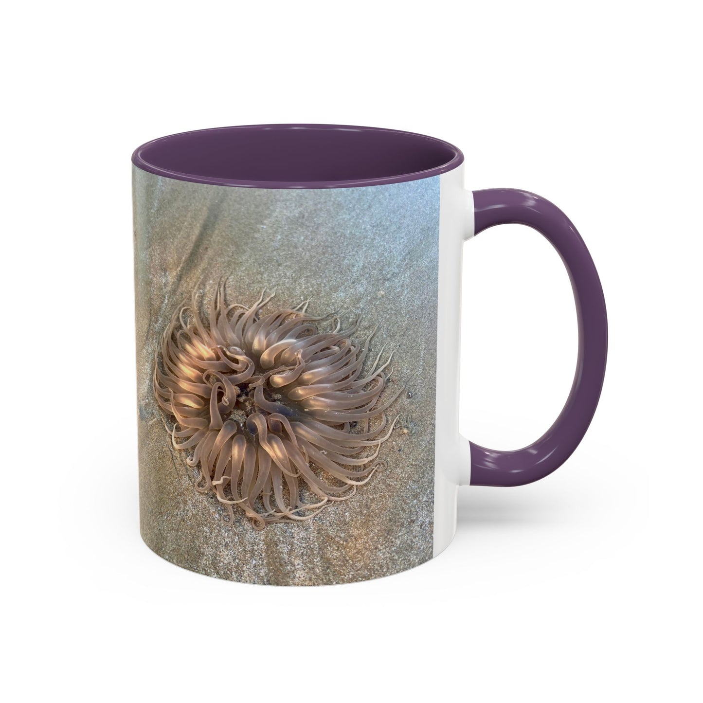 Purposely Wandering Accent Coffee Mug - Unique 11oz & 15oz Drinkware for Nature Lovers