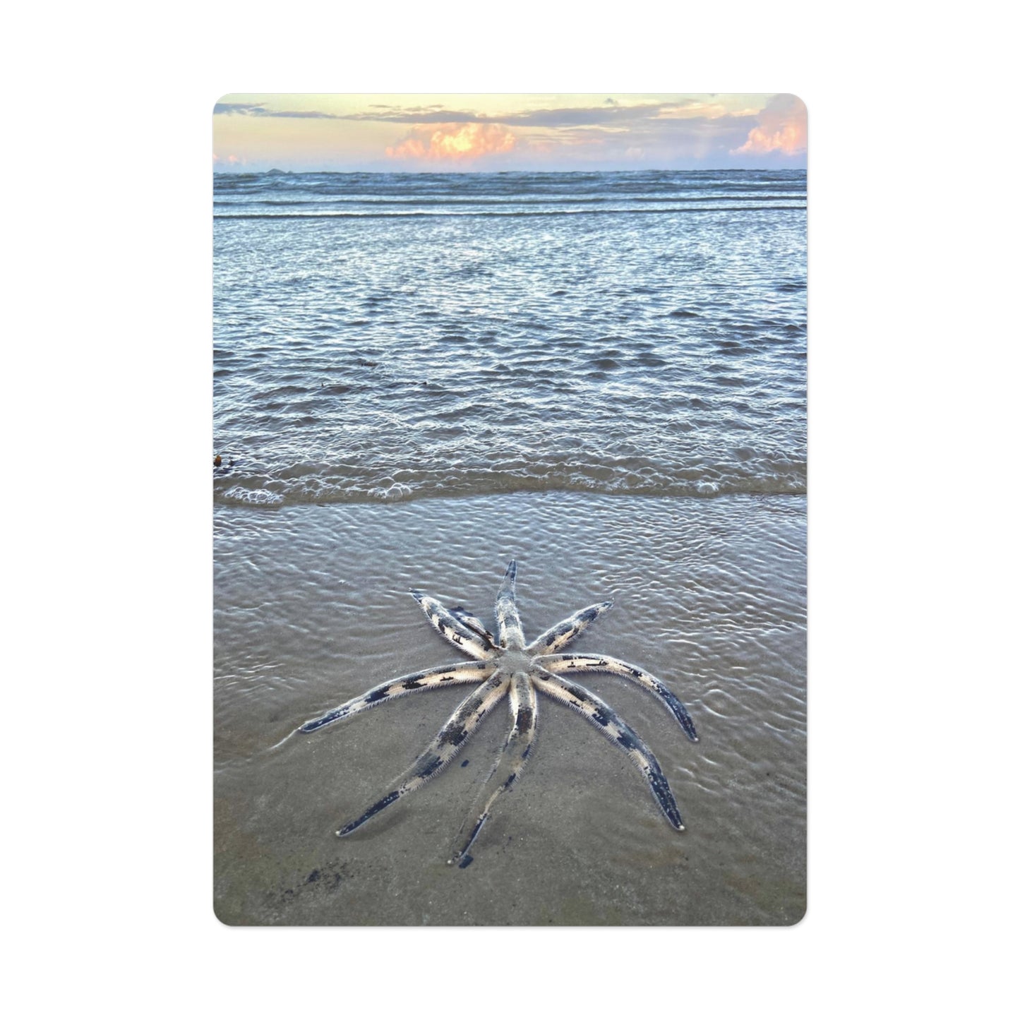 Beach Lovers range- Poker Cards