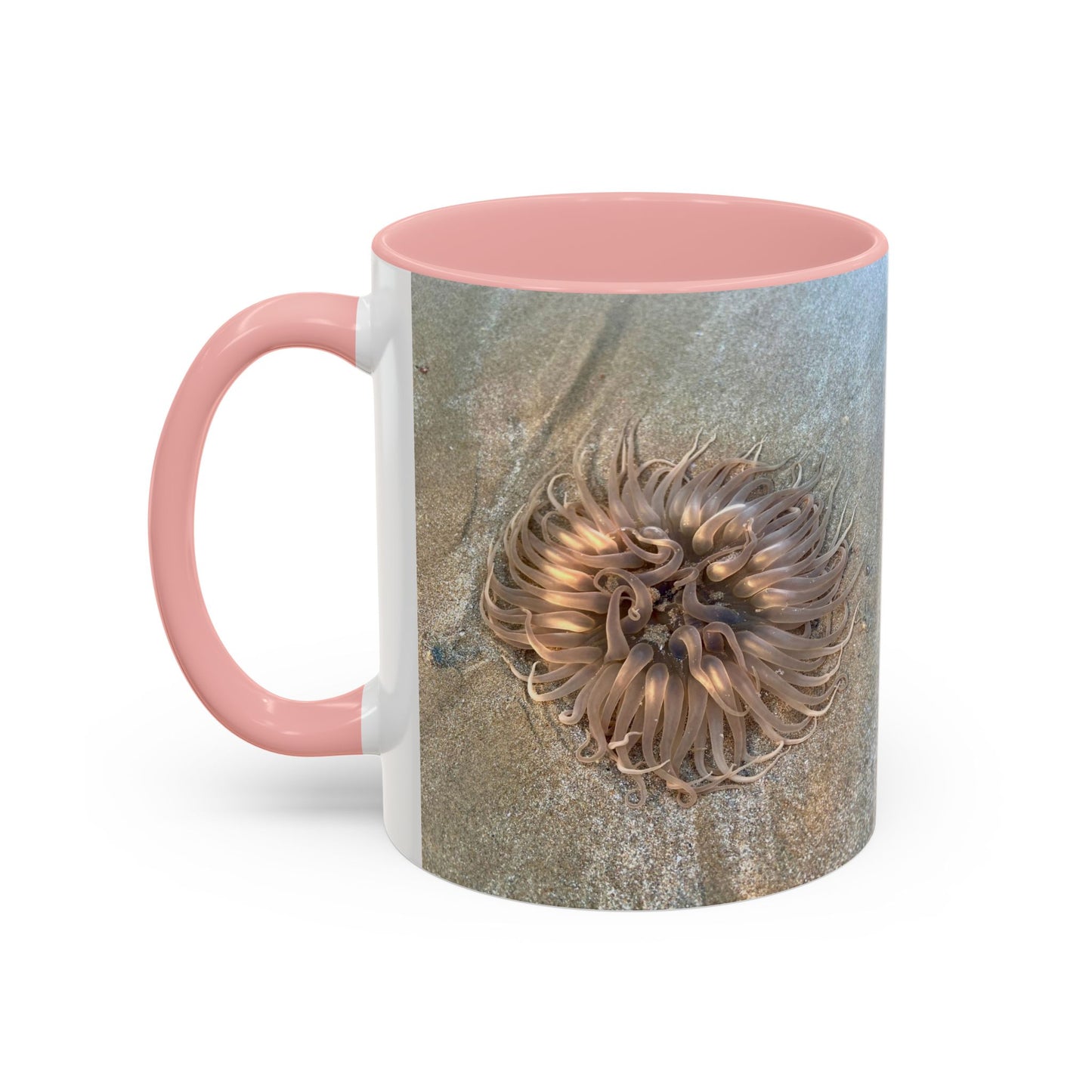 Purposely Wandering Accent Coffee Mug - Unique 11oz & 15oz Drinkware for Nature Lovers