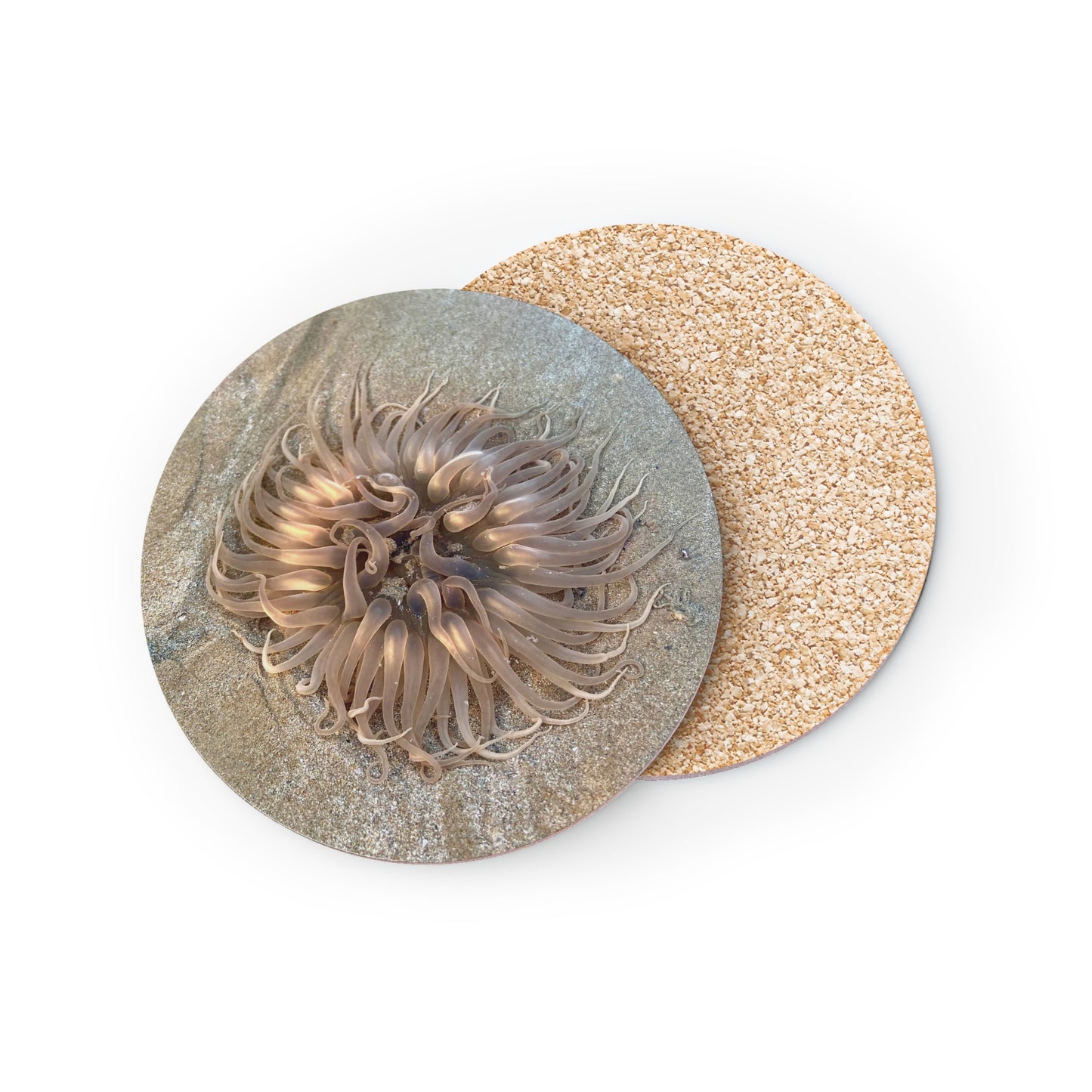 Reef range- AUS PRINT Coasters