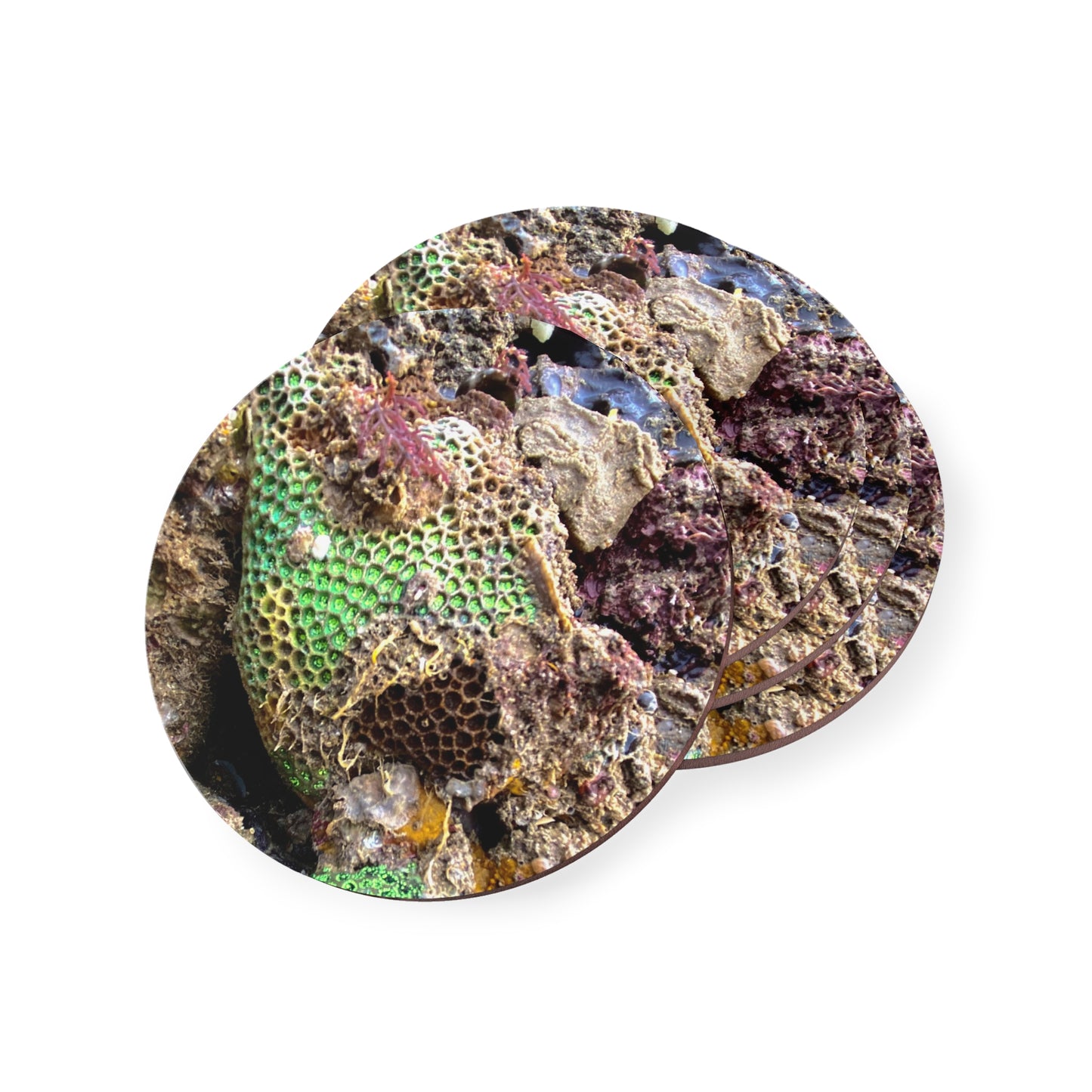 Reef range- AUS PRINT Coasters