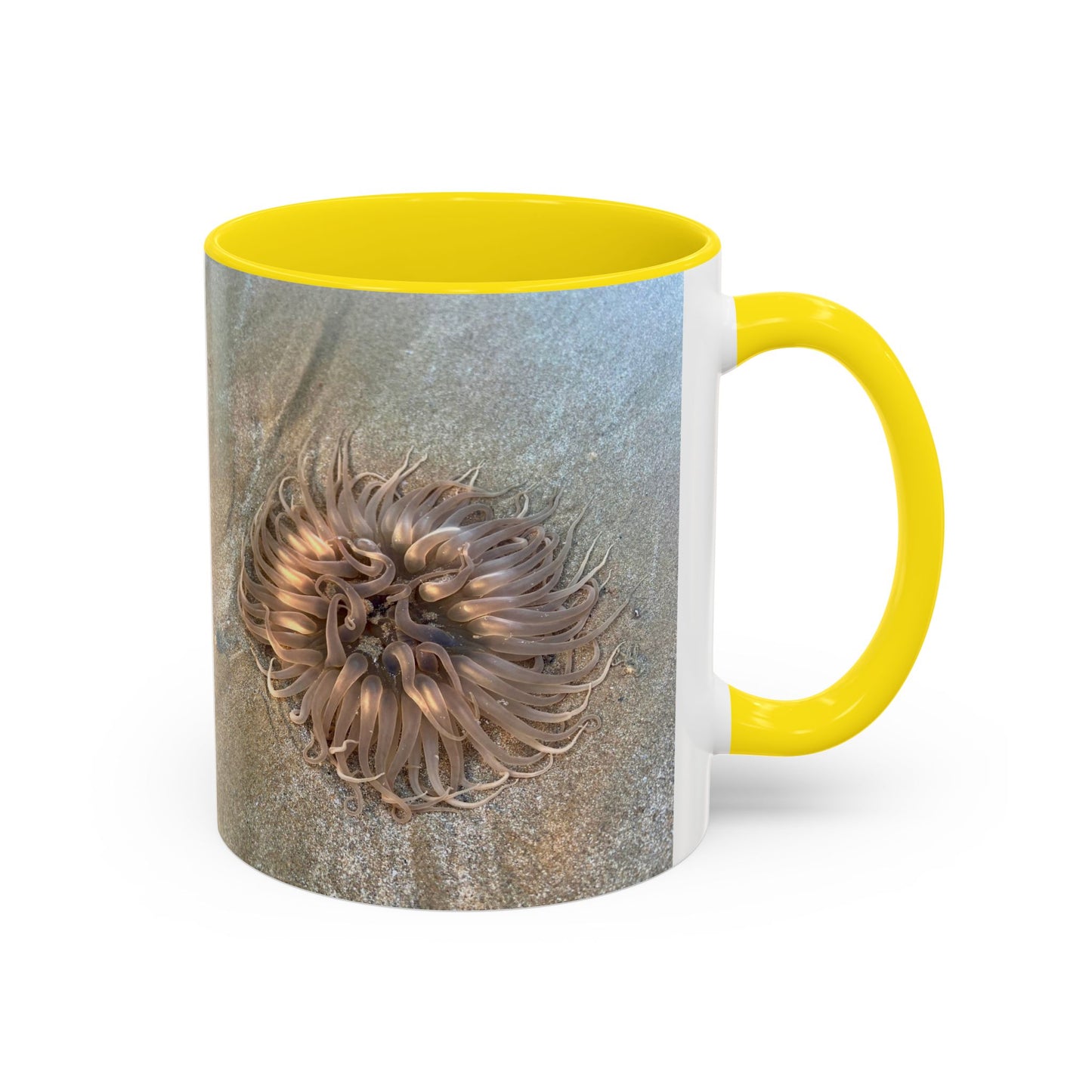 Purposely Wandering Accent Coffee Mug - Unique 11oz & 15oz Drinkware for Nature Lovers
