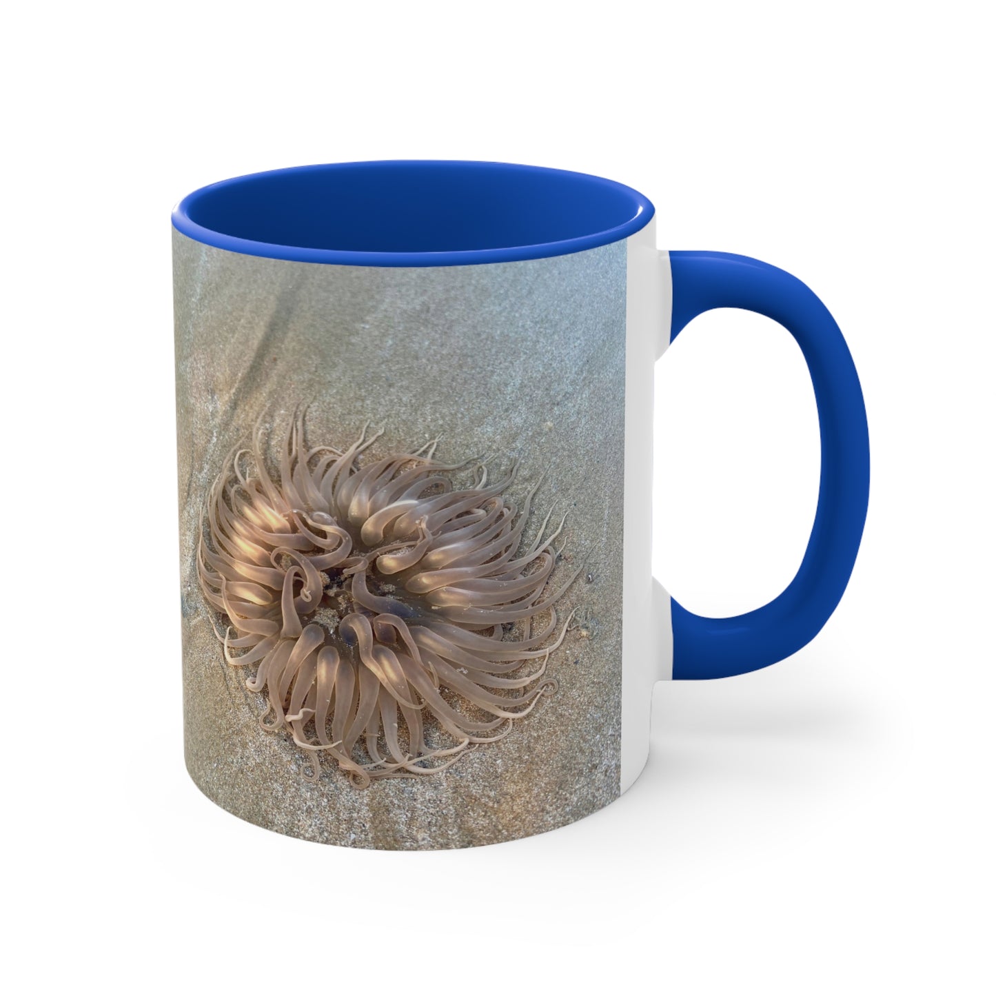 Reef range- AUS PRINT Colorful Accent Mugs, 11oz