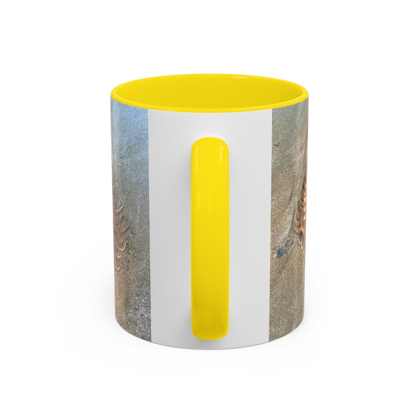 Purposely Wandering Accent Coffee Mug - Unique 11oz & 15oz Drinkware for Nature Lovers