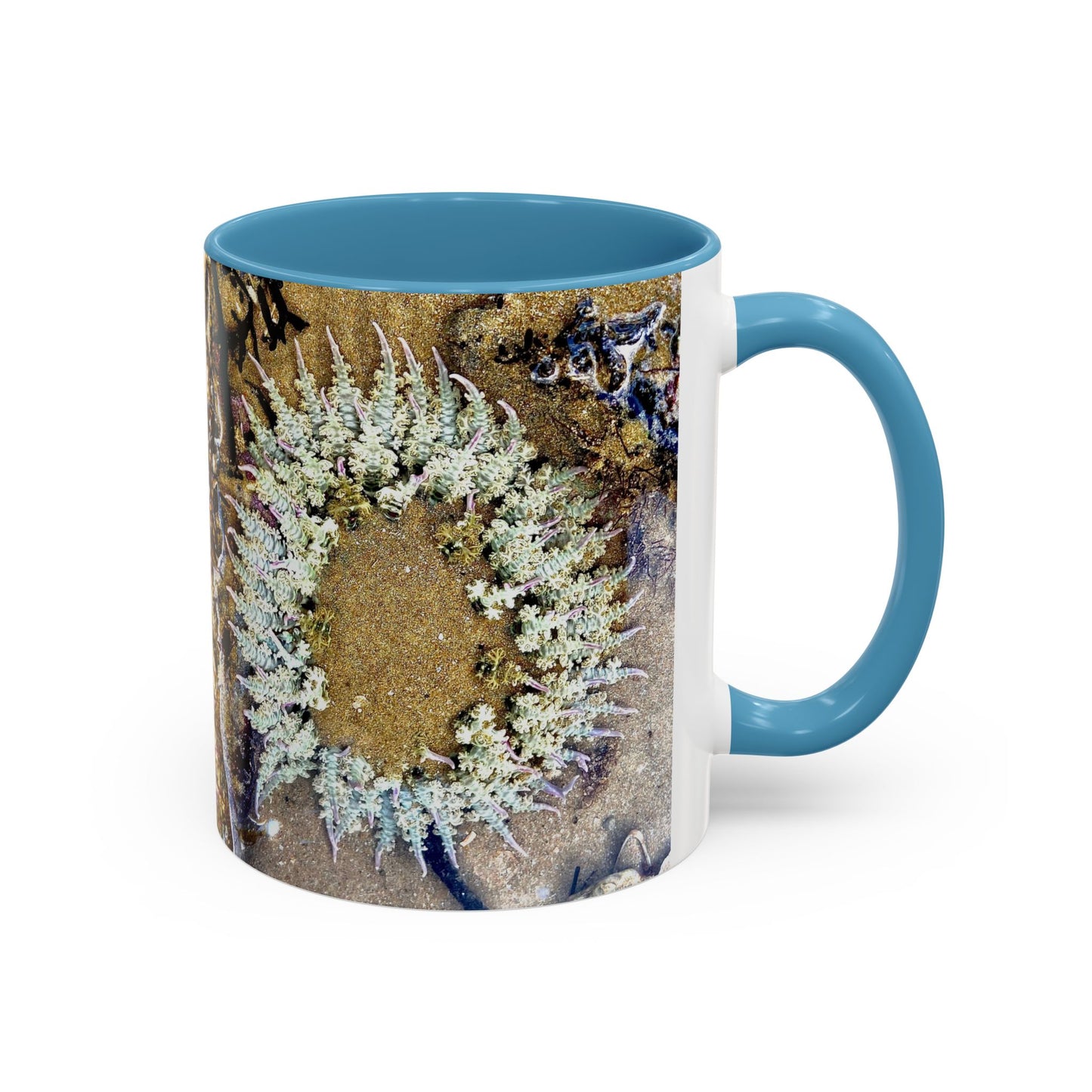 Reef range Accent Coffee Mug (11, 15oz)