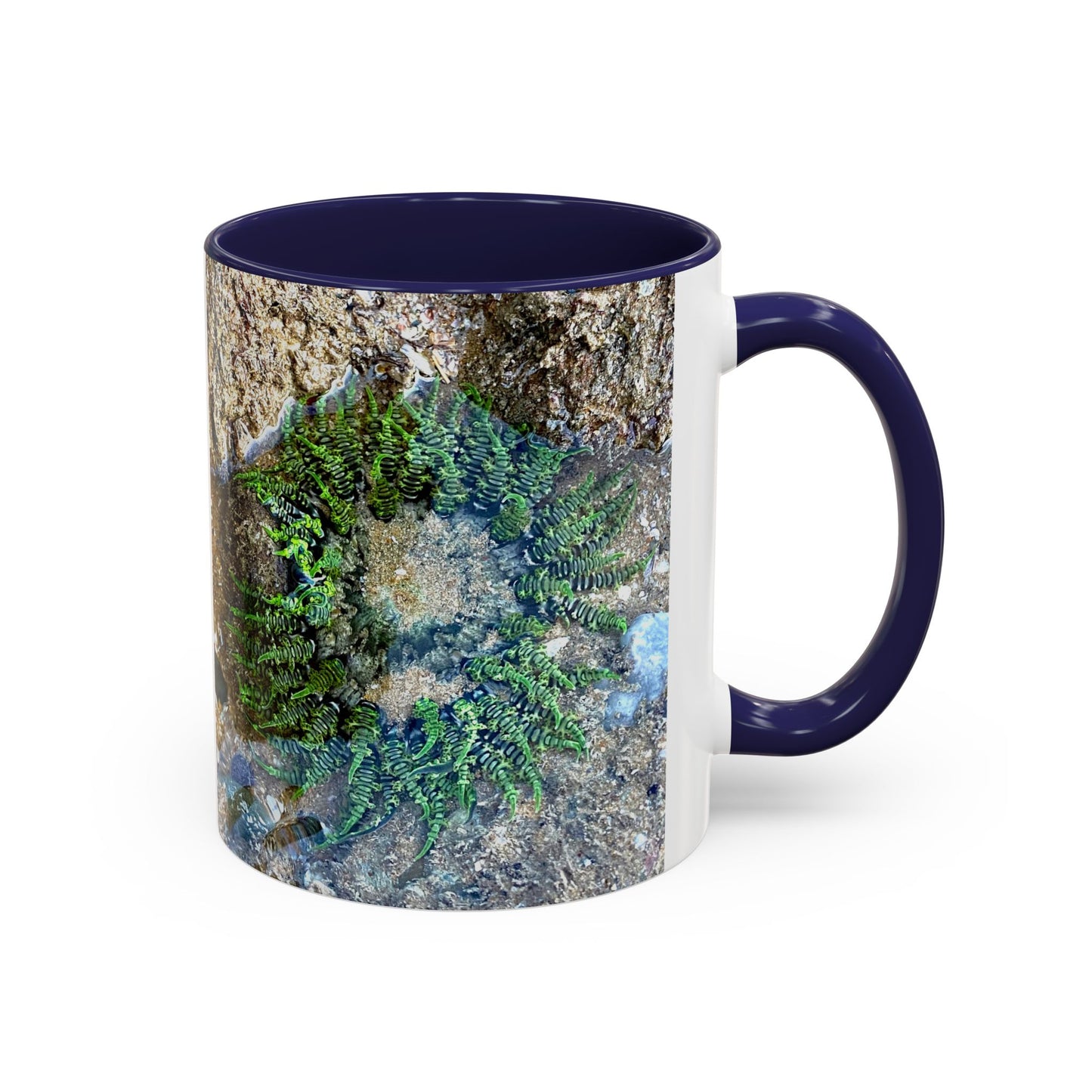 Reef range Accent Coffee Mug (11, 15oz)