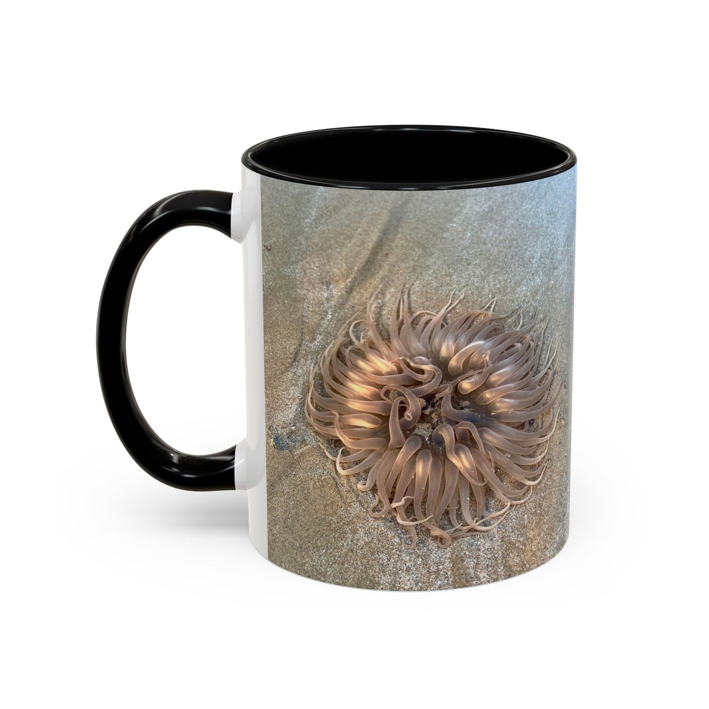 Reef range Accent Coffee Mug (11, 15oz)