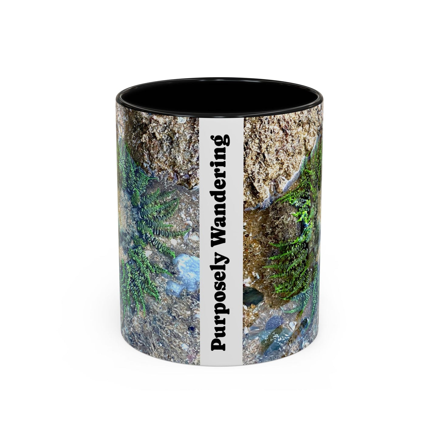 Reef range Accent Coffee Mug (11, 15oz)