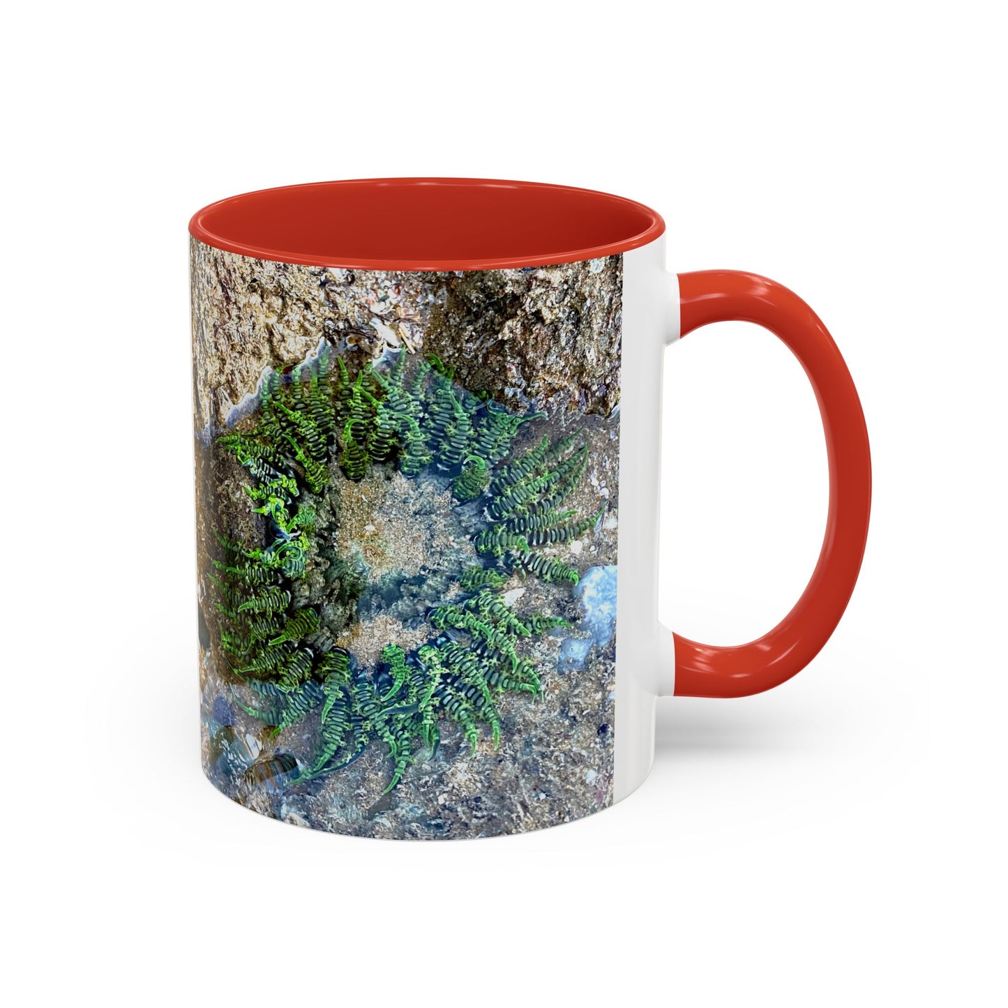 Reef range Accent Coffee Mug (11, 15oz)