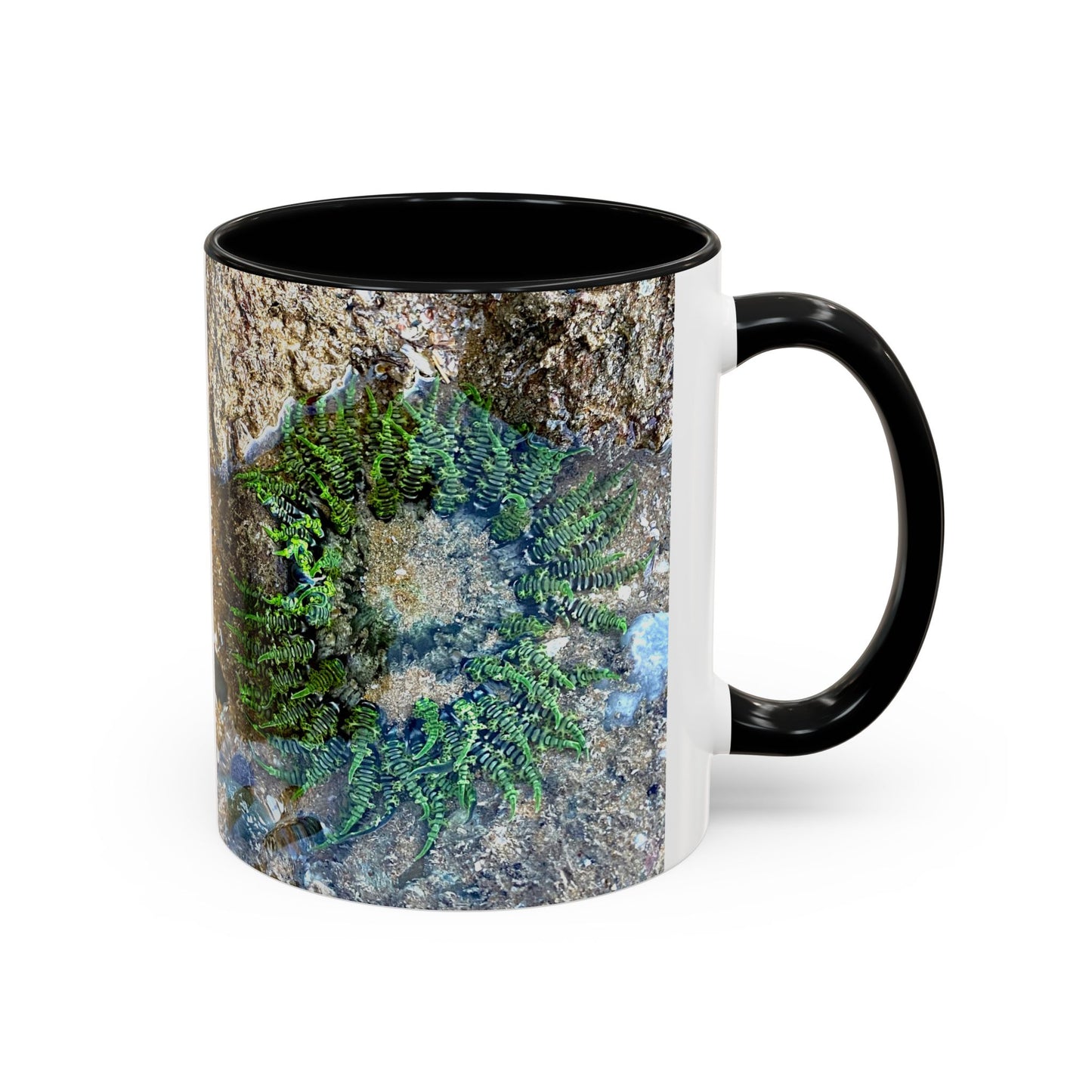 Reef range Accent Coffee Mug (11, 15oz)