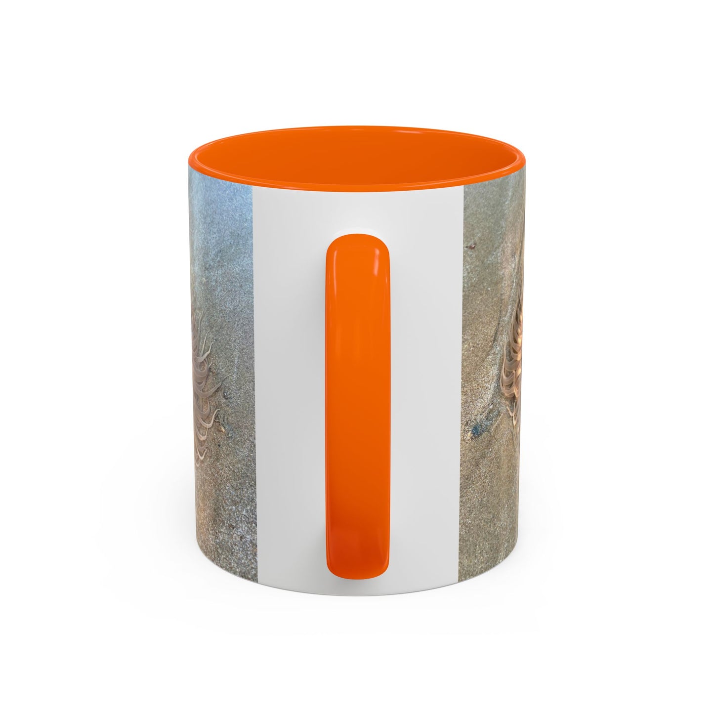 Purposely Wandering Accent Coffee Mug - Unique 11oz & 15oz Drinkware for Nature Lovers