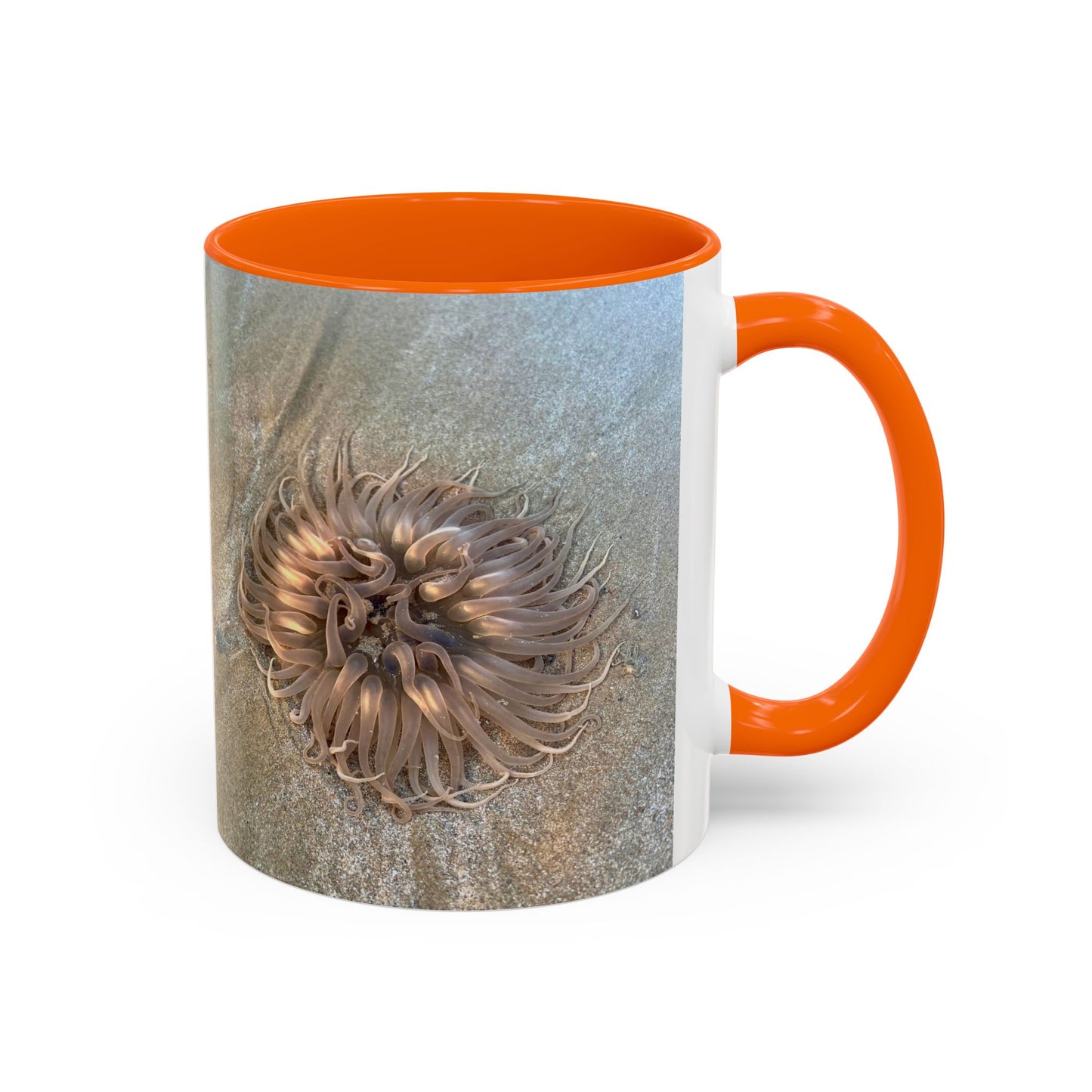 Purposely Wandering Accent Coffee Mug - Unique 11oz & 15oz Drinkware for Nature Lovers