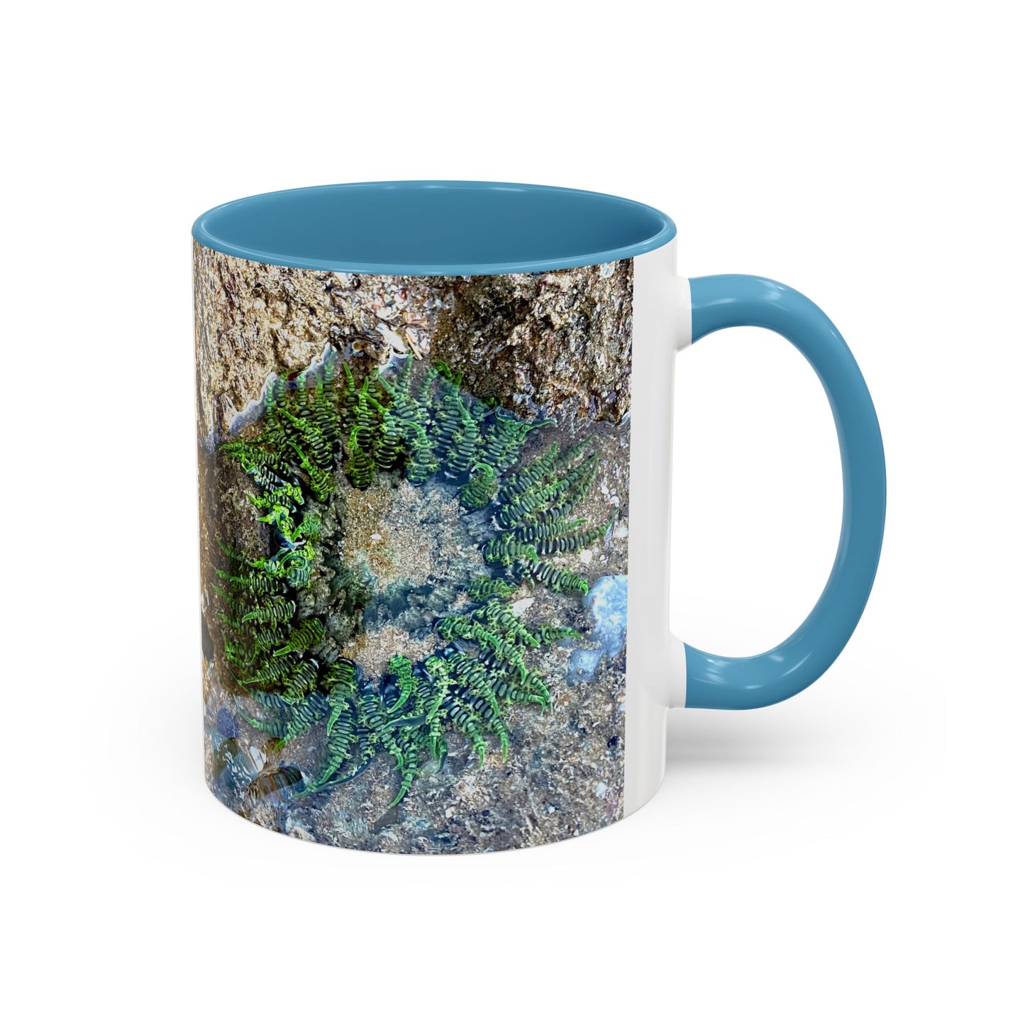 Reef range Accent Coffee Mug (11, 15oz)
