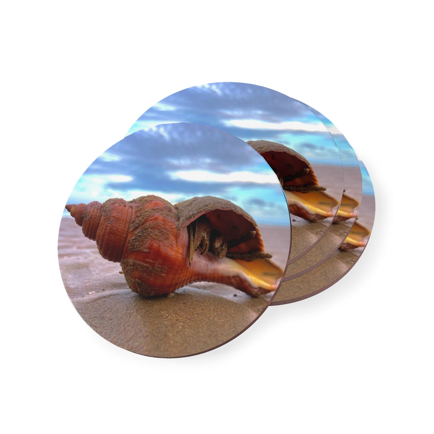 Beach-Inspired Shell Coasters - Coastal Decor for Ocean Lovers