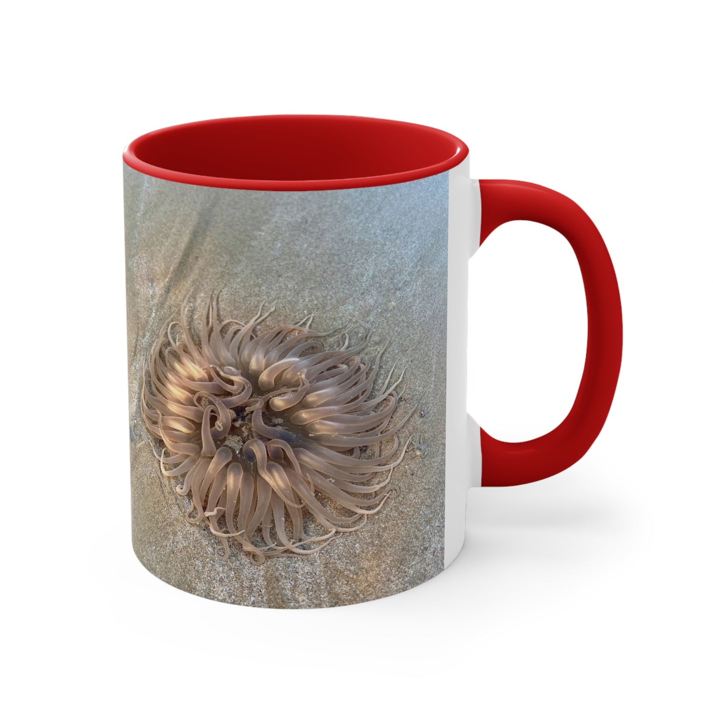 Reef range- AUS PRINT Colorful Accent Mugs, 11oz