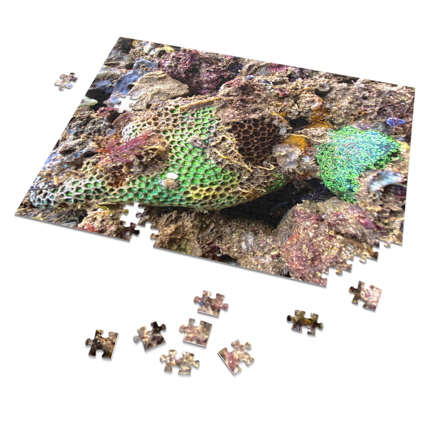 Reef range- Jigsaw Puzzle (30, 110, 252, 500,1000-Piece)
