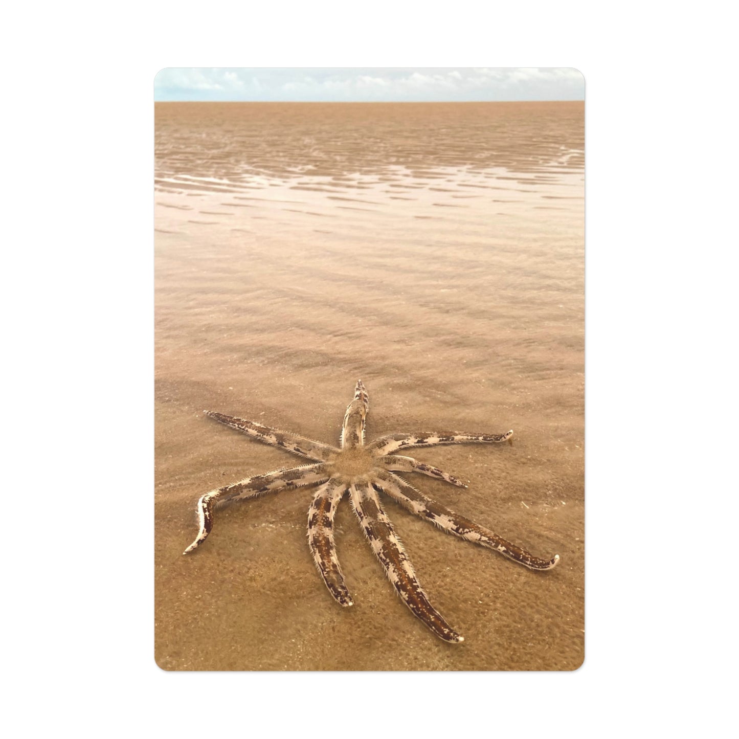 Beach Lovers range- Poker Cards