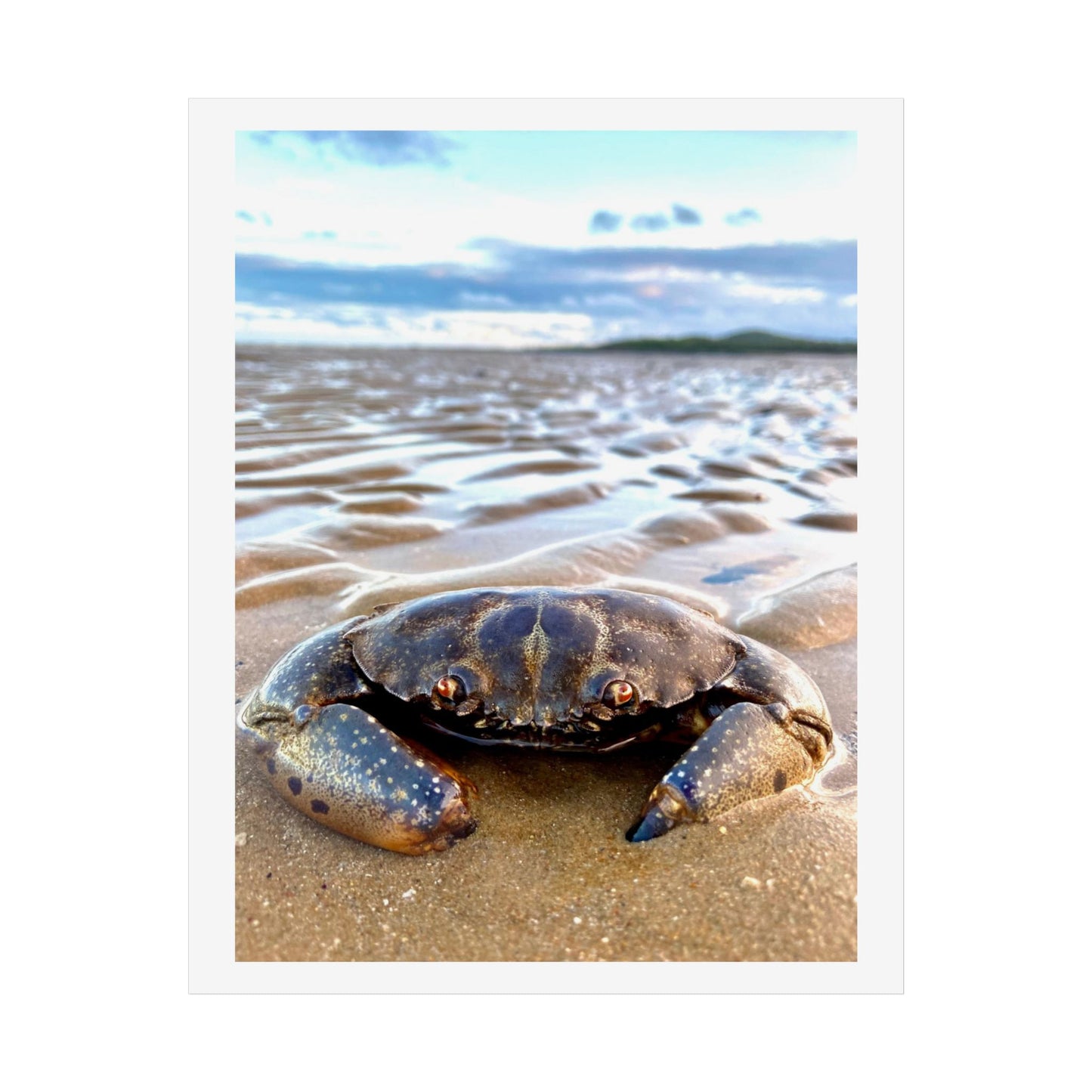 Beach Crab Unframed Poster - Coastal Decor for Nature Lovers