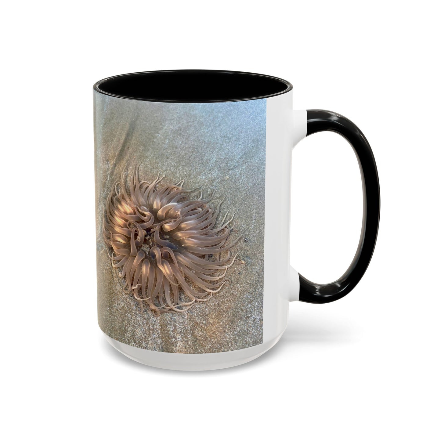 Reef range Accent Coffee Mug (11, 15oz)