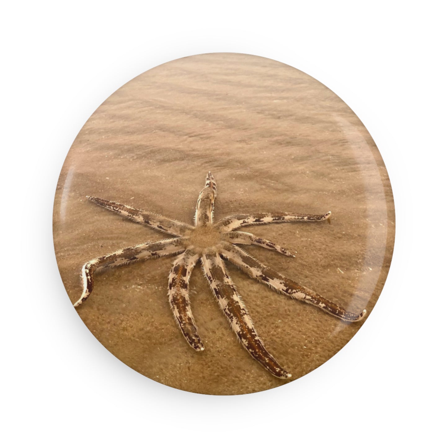 Beach Lovers range- Button Magnet, Round (1 & 10 pcs)