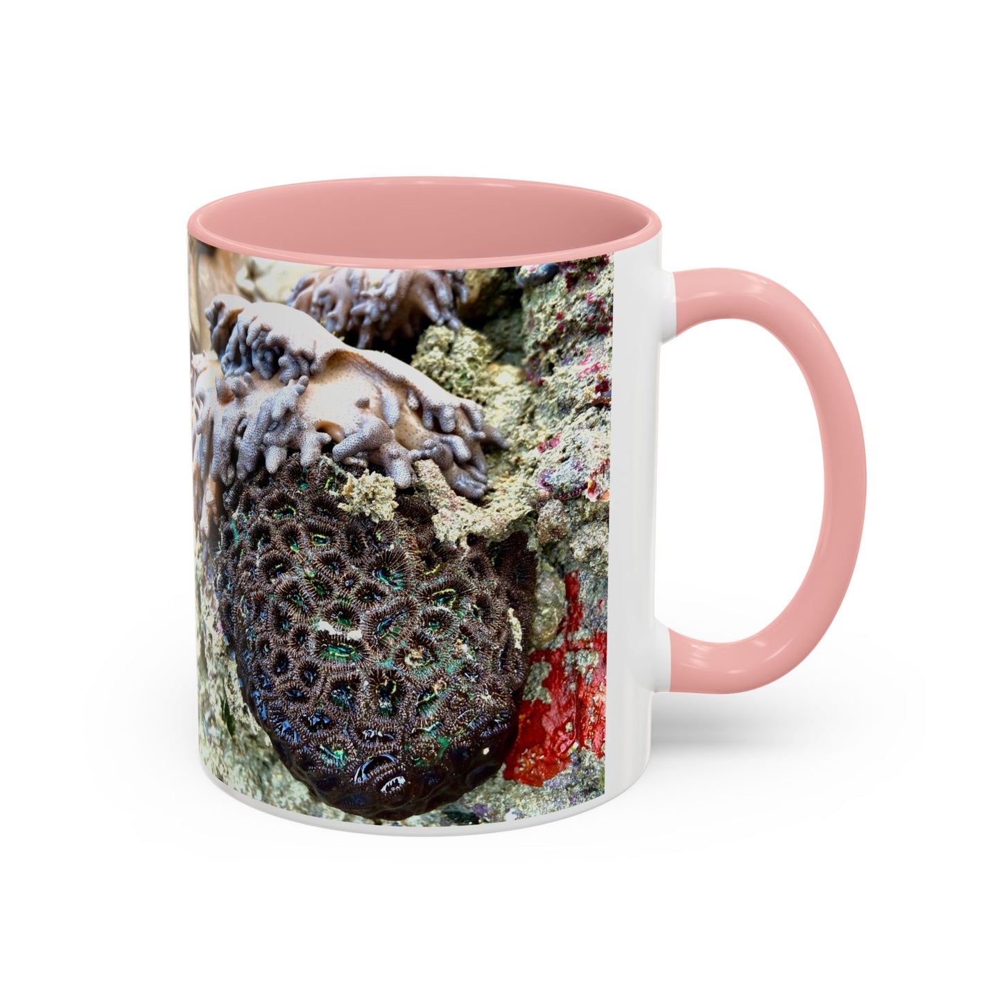 Reef range Accent Coffee Mug (11, 15oz)