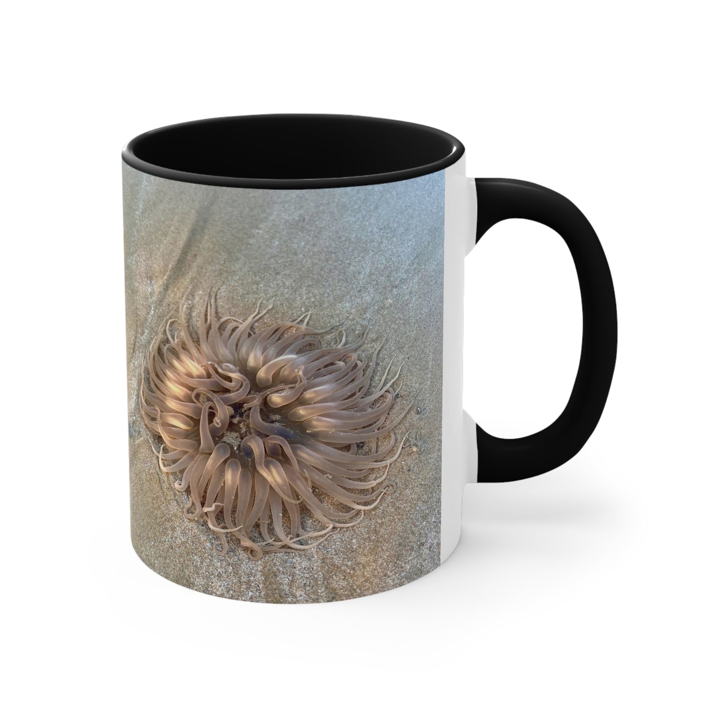 Reef range- AUS PRINT Colorful Accent Mugs, 11oz