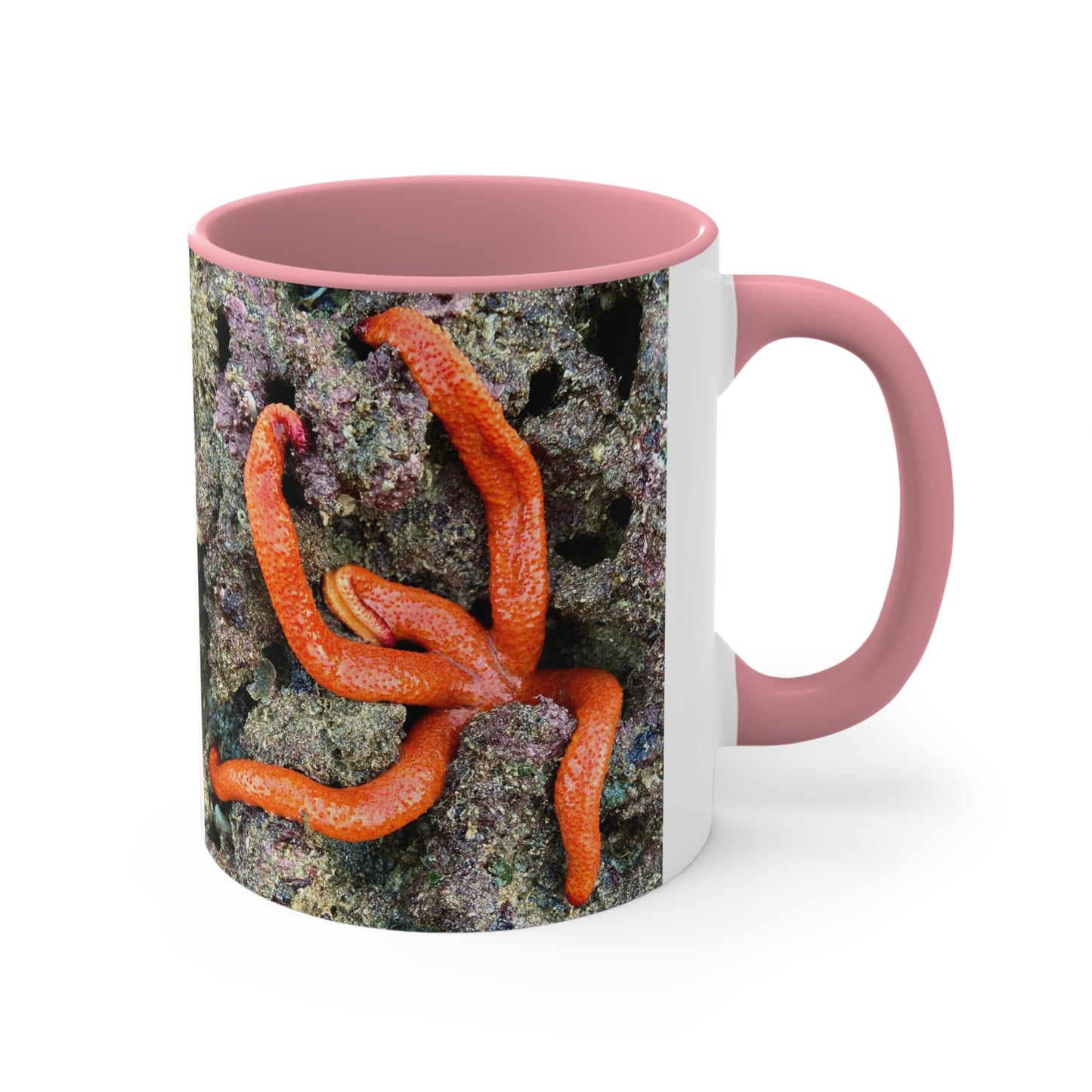 Reef range- AUS PRINT Colorful Accent Mugs, 11oz