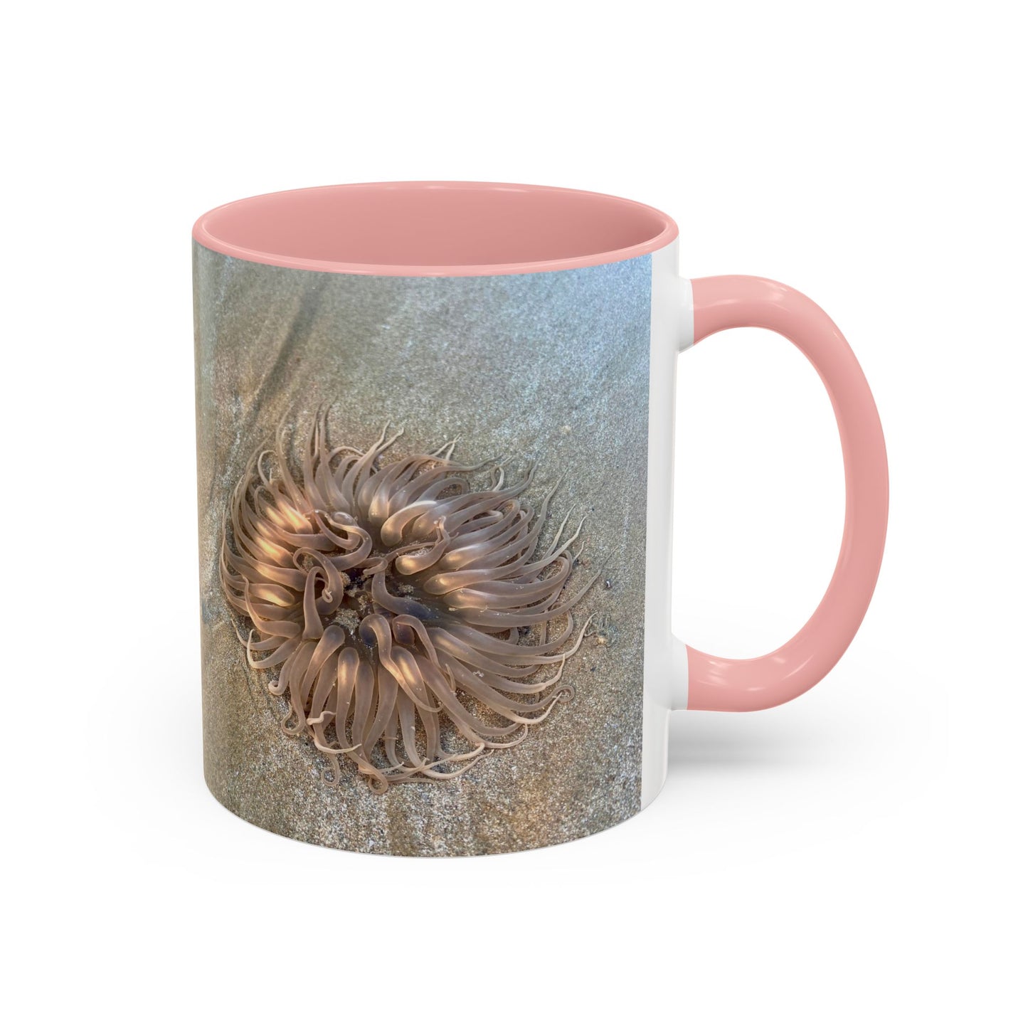 Reef range Accent Coffee Mug (11, 15oz)