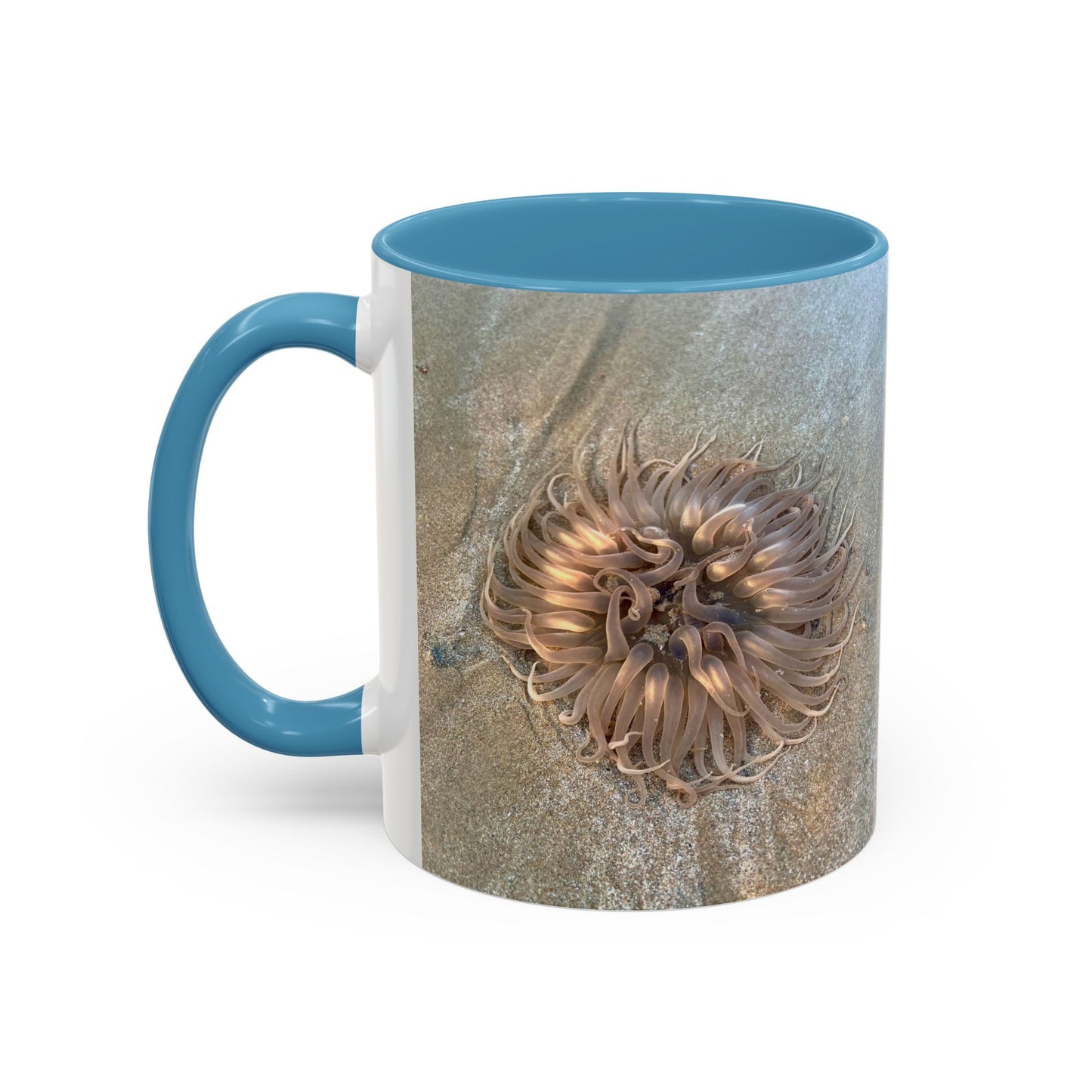 Purposely Wandering Accent Coffee Mug - Unique 11oz & 15oz Drinkware for Nature Lovers