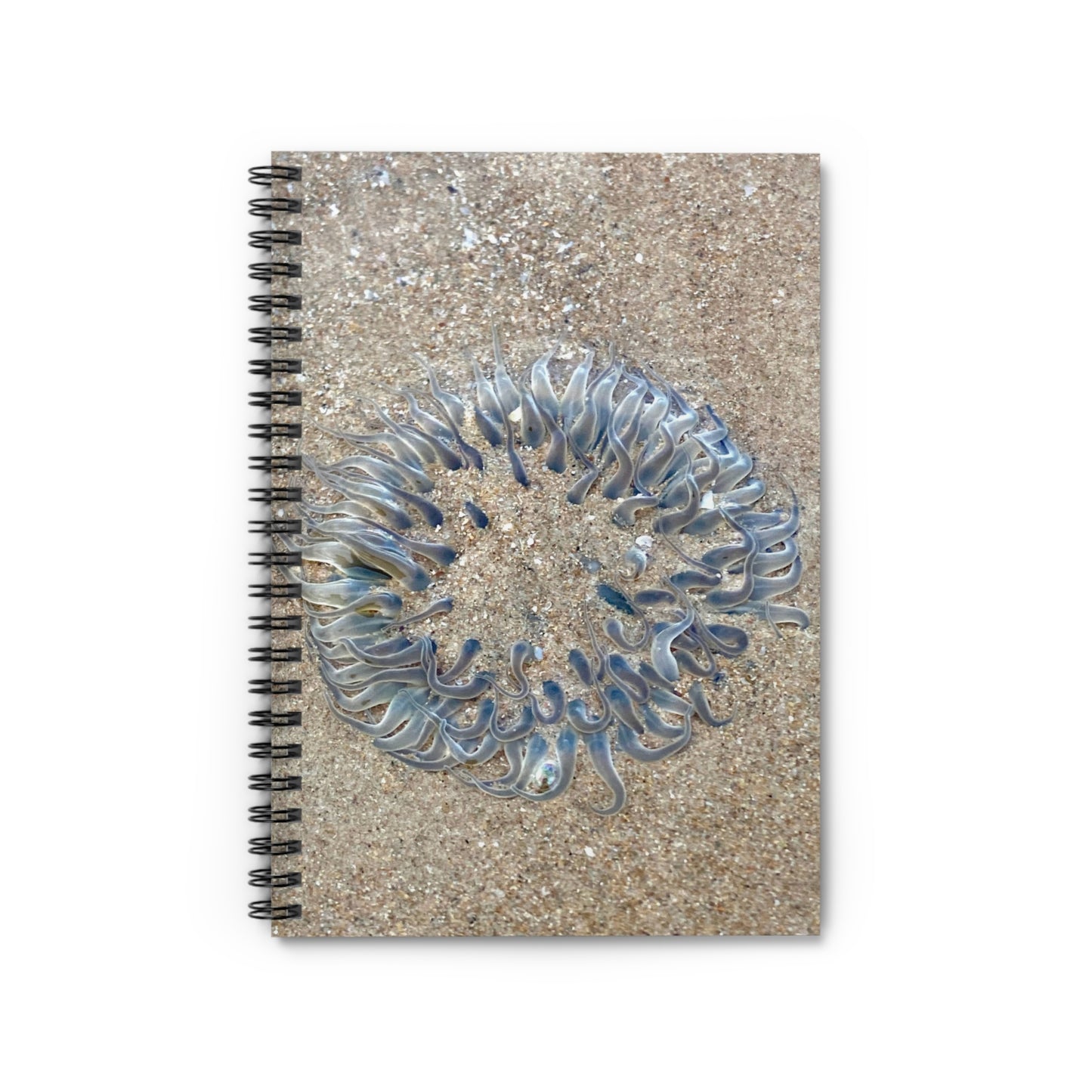 Reef range Spiral Notebook - Ruled Line
