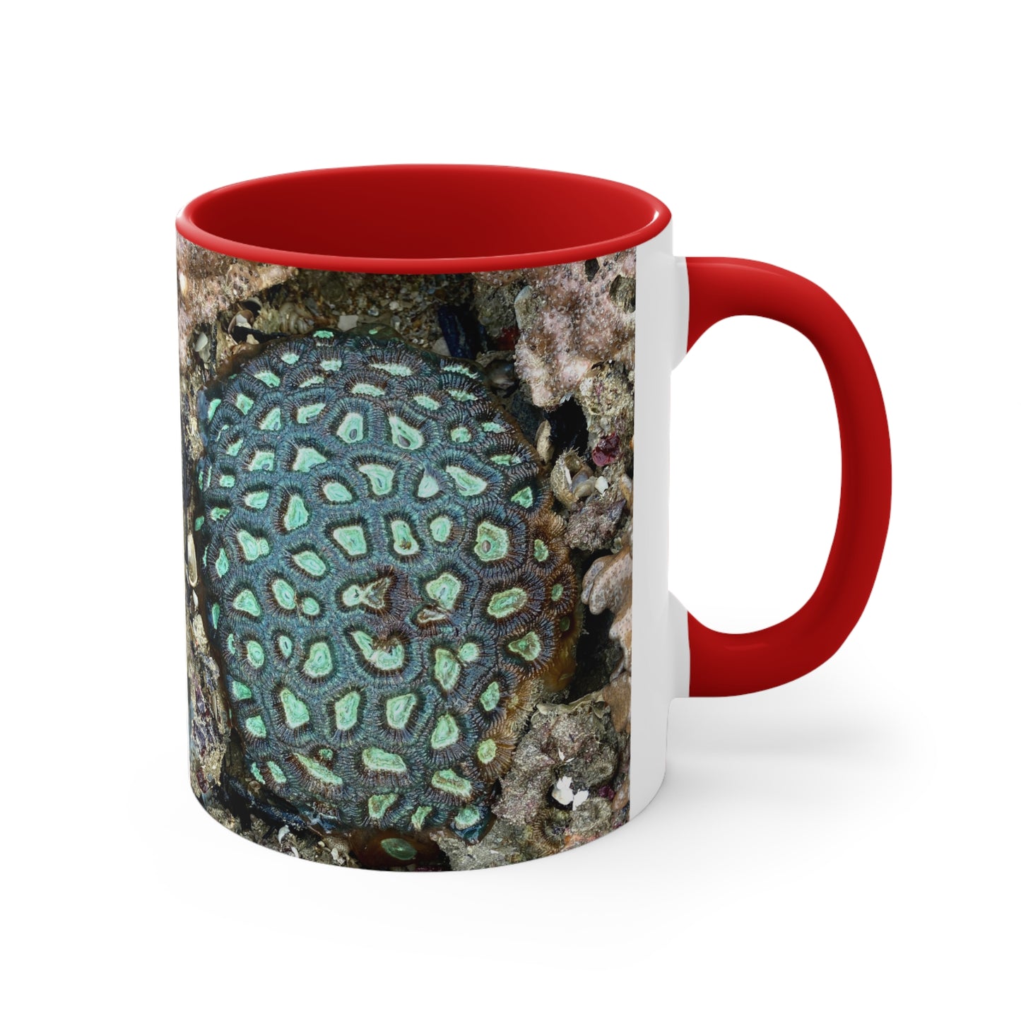 Reef range- AUS PRINT Colourful Accent Mugs, 11oz