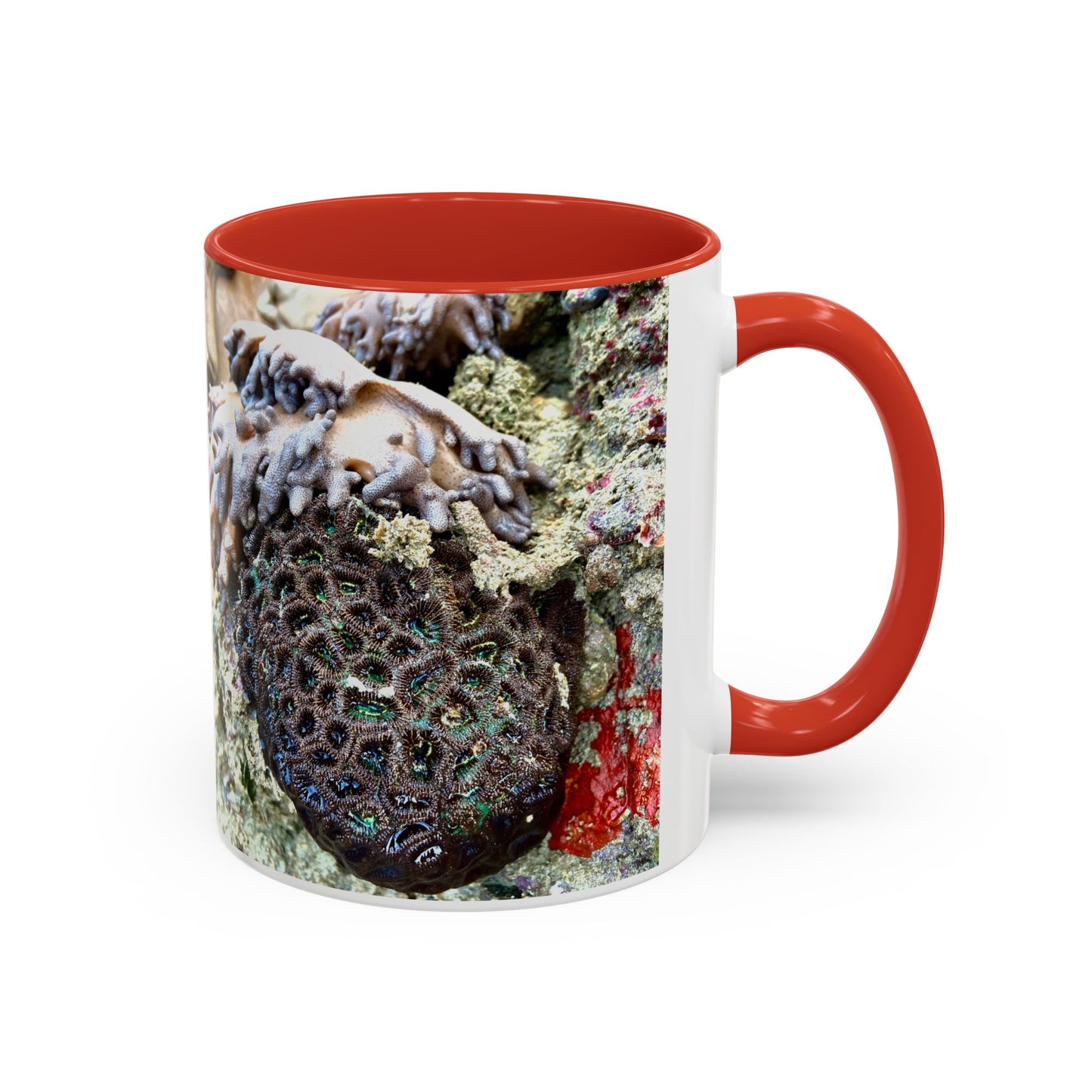 Reef range Accent Coffee Mug (11, 15oz)